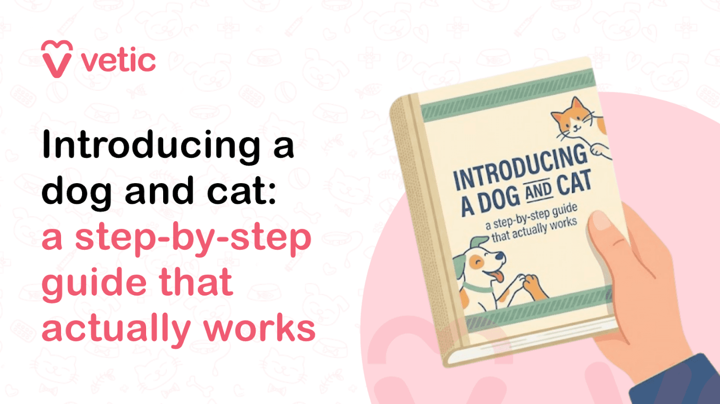Introducing a Dog to a Cat: A Step-by-Step Guide That Actually Works