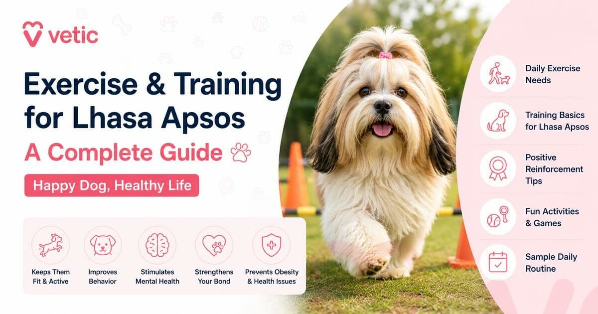 Exercise and Training for Lhasa Apsos: A Complete Guide