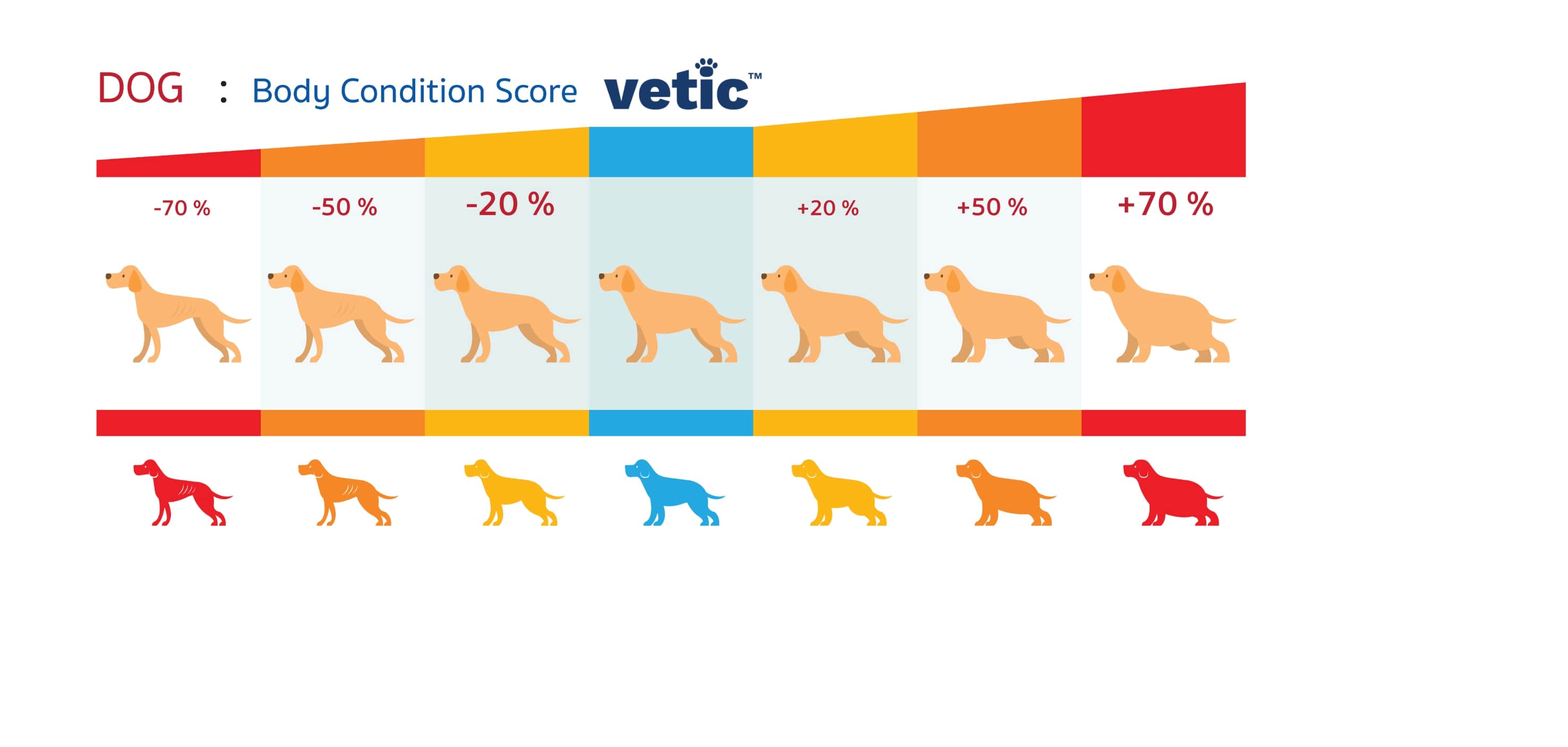 Dog Body Condition Score Chart