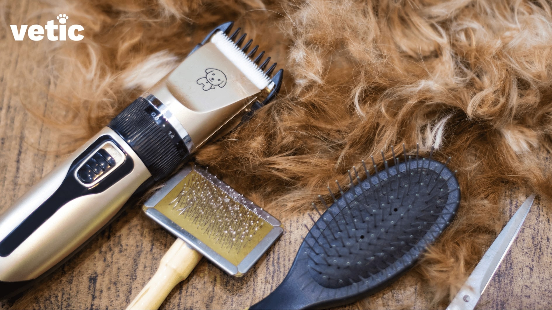 Dog grooming tools. A professional trimmer, deshedder brush, regular hair brush and comb beside piles of brown fur
