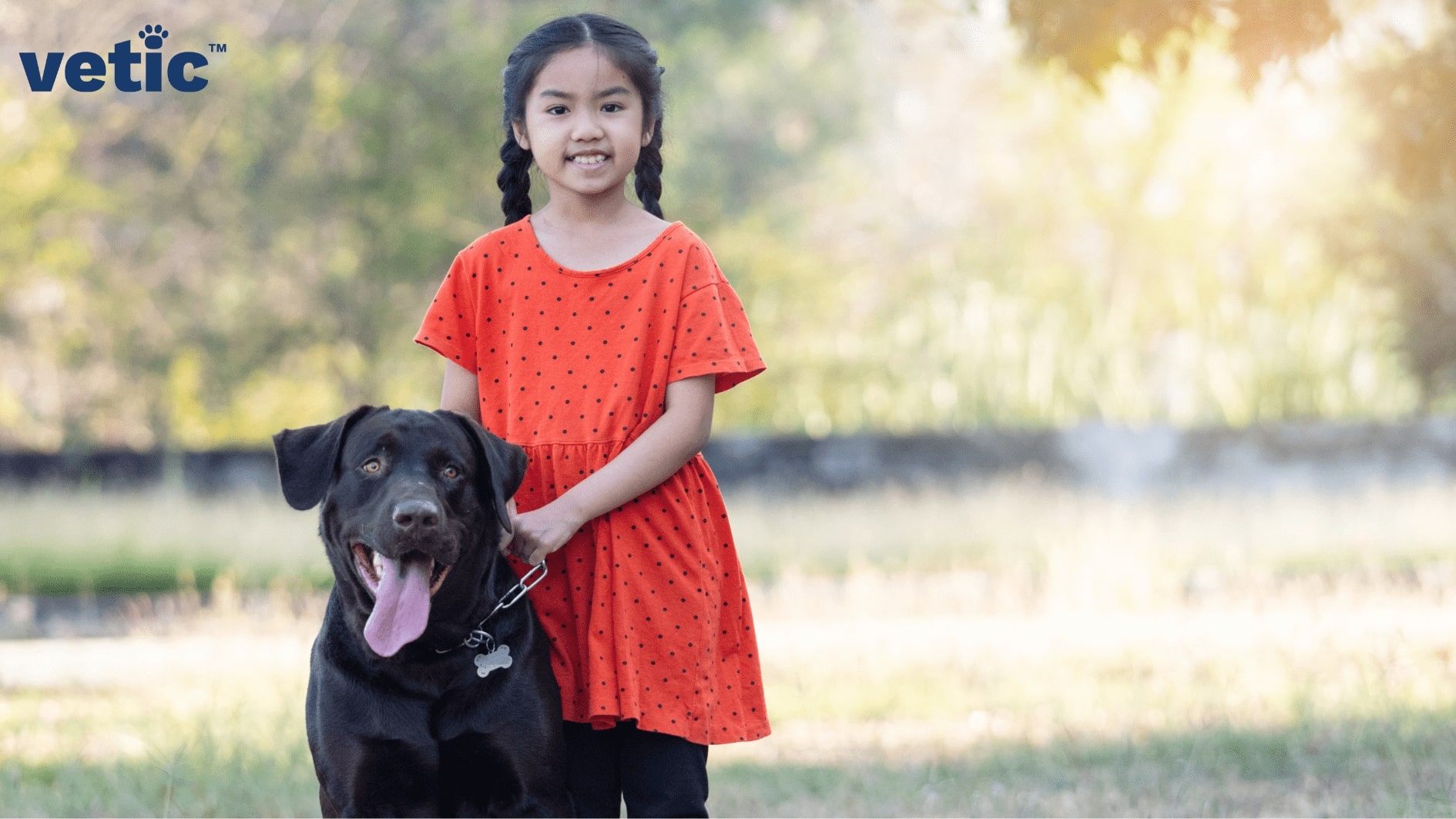 Young girl in a red dress and hair in two plaits standing and holding her black Labrador Retriever by the collar.