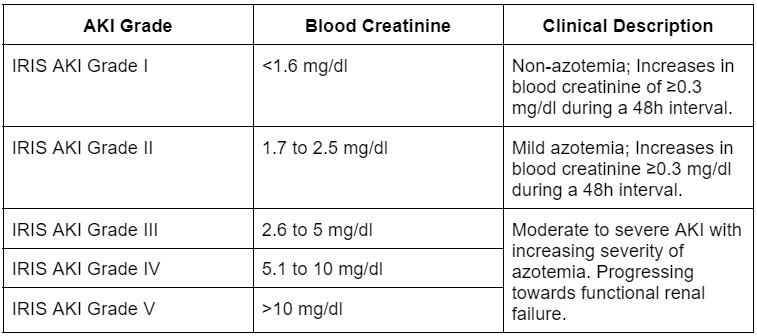 table of IRIS AKI Grading in dogs - acute kidney injury in dogs - Blood creatinine (mg/ml) - <1.4 = Normal blood creatinine or normal or mild increase
blood SDMA. 1.4 – 2.8 = Normal or mildly increased creatinine, mild renal azotemia
(lower end of the range lies within reference ranges for
creatinine for many laboratories). 2.9 – 5.0 = Moderate renal azotemia. Many extrarenal signs may be
present, but their extent and severity may vary. >5.0 = Increasing risk of systemic clinical signs and uremic
crises. 