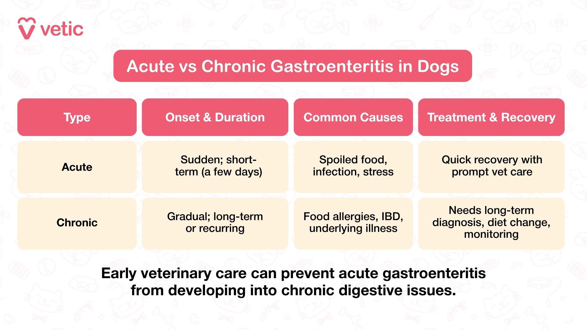 Vetic image comparing acute vs chronic gastroenteritis in dogs. The image features a pink and white color scheme with faint pet-related illustrations in the background. The main text in a red box reads 'Acute vs Chronic Gastroenteritis in Dogs.' Below, there are four tables comparing the two types: 'Acute' (Sudden; short-term, a few days), 'Chronic' (Gradual; long-term or recurring), 'Common Causes' (Spoiled food, infection, stress for acute; food allergies, IBD, underlying illness for chronic), and 'Treatment & Recovery' (Quick recovery with prompt vet care for acute; needs long-term diagnosis, diet change, monitoring for chronic). A note at the bottom reads, 'Early veterinary care can prevent acute gastroenteritis from developing into chronic digestive issues.