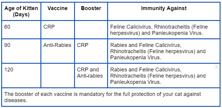 Cat vaccine schedule as per the age of the kitten in days. A 60 day old kitten should receive their first CRP vaccine, followed by another dose plus anti-rabies at 90 days and the final doses at 120 days.
