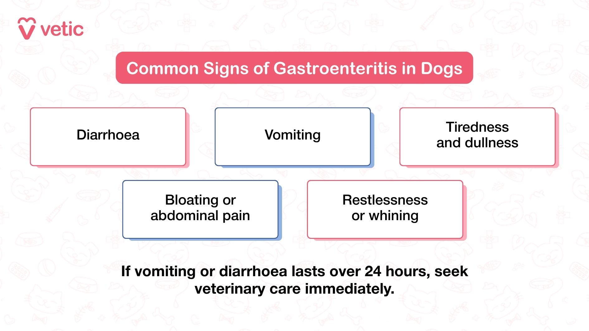 image showing common signs of gastroenteritis in dogs. The image features a pink and white color scheme with faint pet-related illustrations in the background. The main text in a red box reads 'Common Signs of Gastroenteritis in Dogs.' Below are five bullet points: 'Diarrhoea,' 'Vomiting,' 'Bloating or abdominal pain,' 'Tiredness and dullness,' and 'Restlessness or whining.' A note at the bottom reads, 'If vomiting or diarrhoea lasts over 24 hours, seek veterinary care immediately.