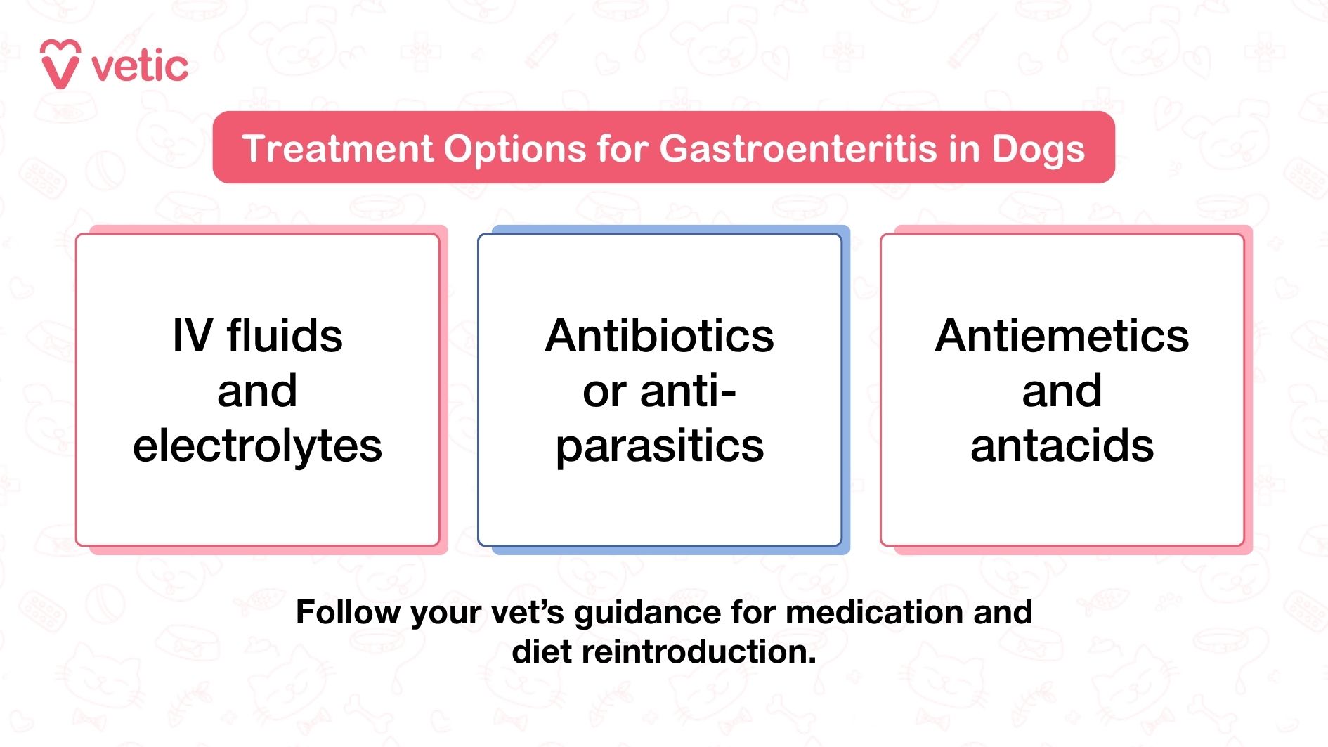 Image showing treatment options for gastroenteritis in dogs. The image features a pink and white color scheme with faint pet-related illustrations in the background. The main text in a red box reads 'Treatment Options for Gastroenteritis in Dogs.' Below are three bullet points: 'IV fluids and electrolytes,' 'Antibiotics or anti-parasitics,' and 'Antiemetics and antacids.' A note at the bottom reads, 'Follow your vet’s guidance for medication and diet reintroduction.
