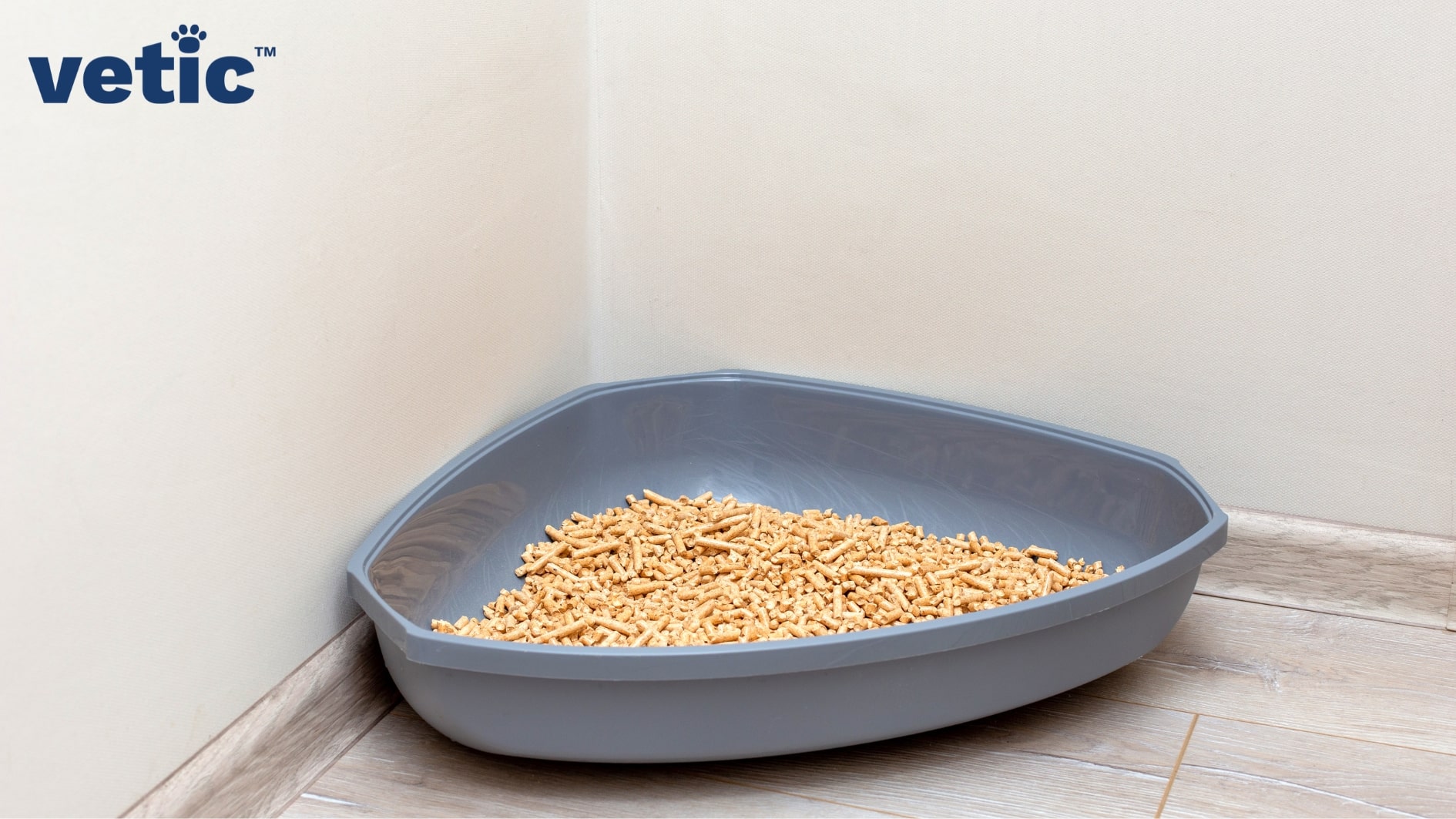 A greyish-blue, low-edge corner litter box filled with wooden pellet or litter kept on a hardwood floor against white walls. New cat owners must choose a low-edge box like this one for their smaller kittens.