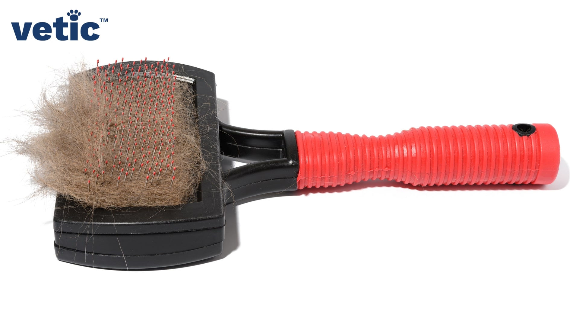 The photo of a regular deShedding brush with tons of cat hair stuck to the bristles. Shedding in cats can be controlled by investing in such a brush.