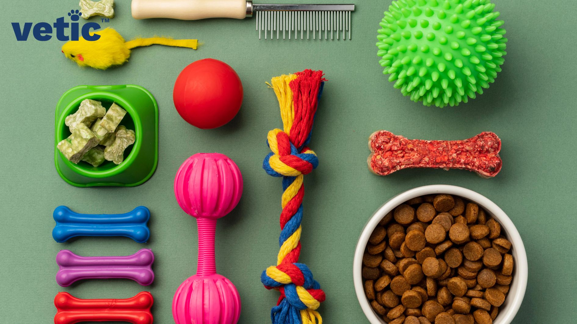 The Complete GuideDog Accessories And Health Essentials