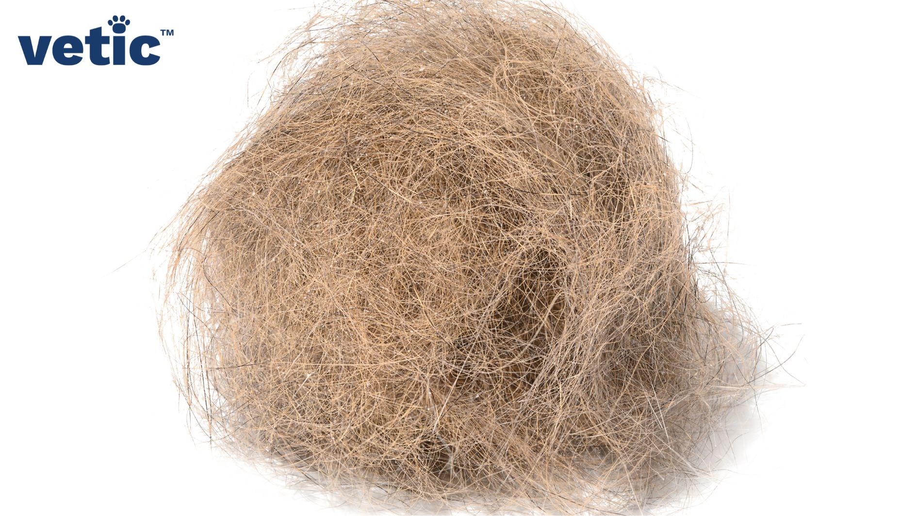 a single cat hairball of orange-ish brown colour