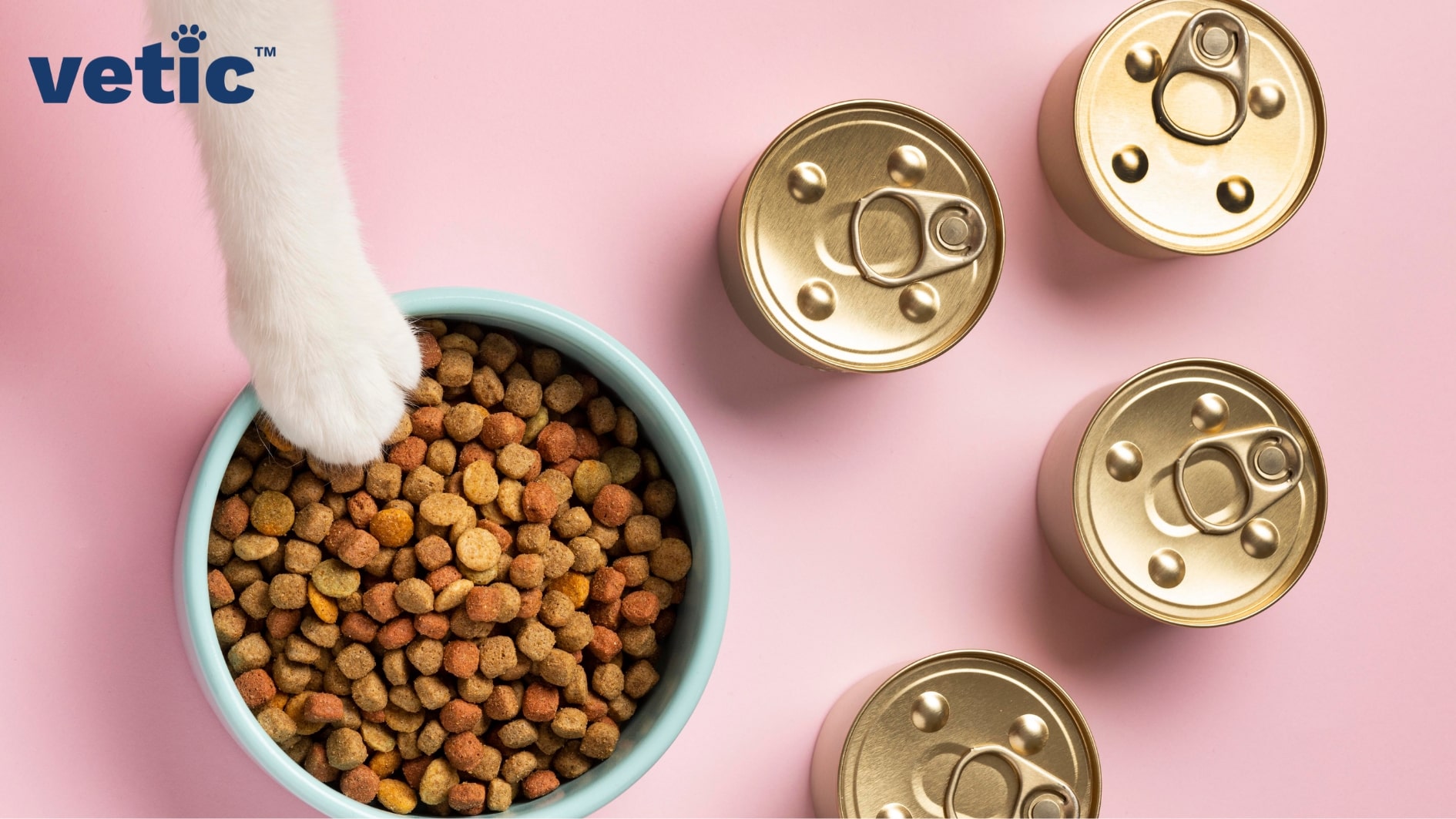 A light blue bowl of dry cat food and four unopened cans of wet food. A single white cat paw reaching for the dry food bowl from the upper left side of the photo.