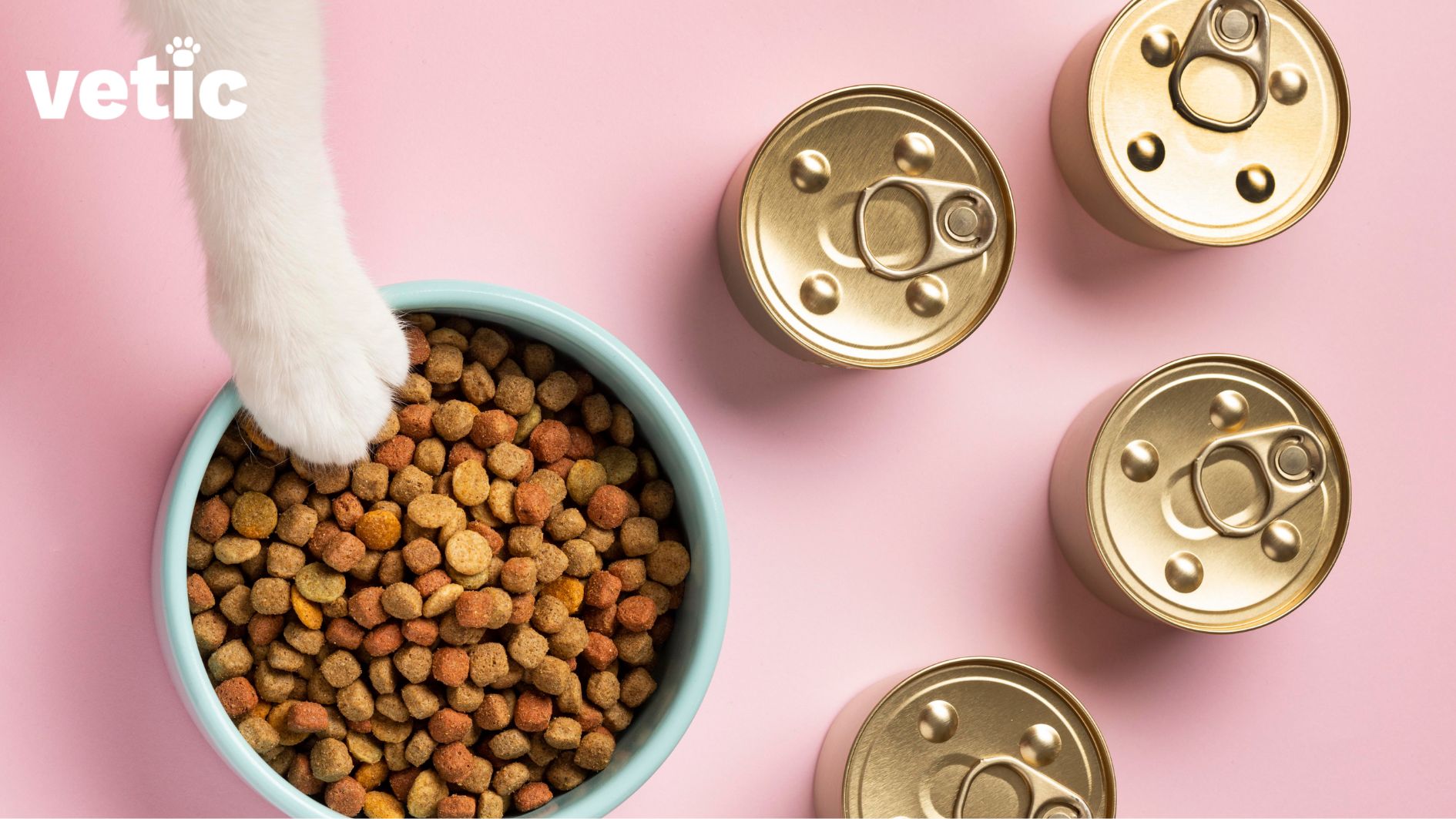 4 sealed cans of wet cat food and one blue bowl filled with dry kitty kibbles are kept against a pink background. the bowl is on the left and a kitty's white paw is visible reaching for the dry cat food in the bowl.