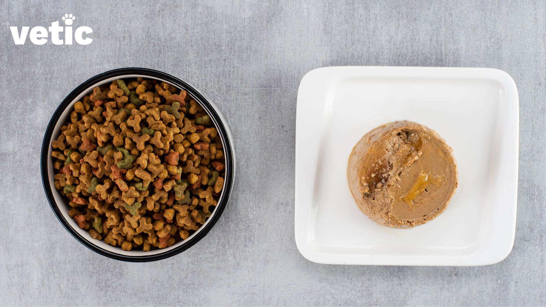 Photo of cat food. Dry cat food in a ceramic food bowl is on the left. Wet canned food is on the right in a plate. the containers are kept against a grey background.