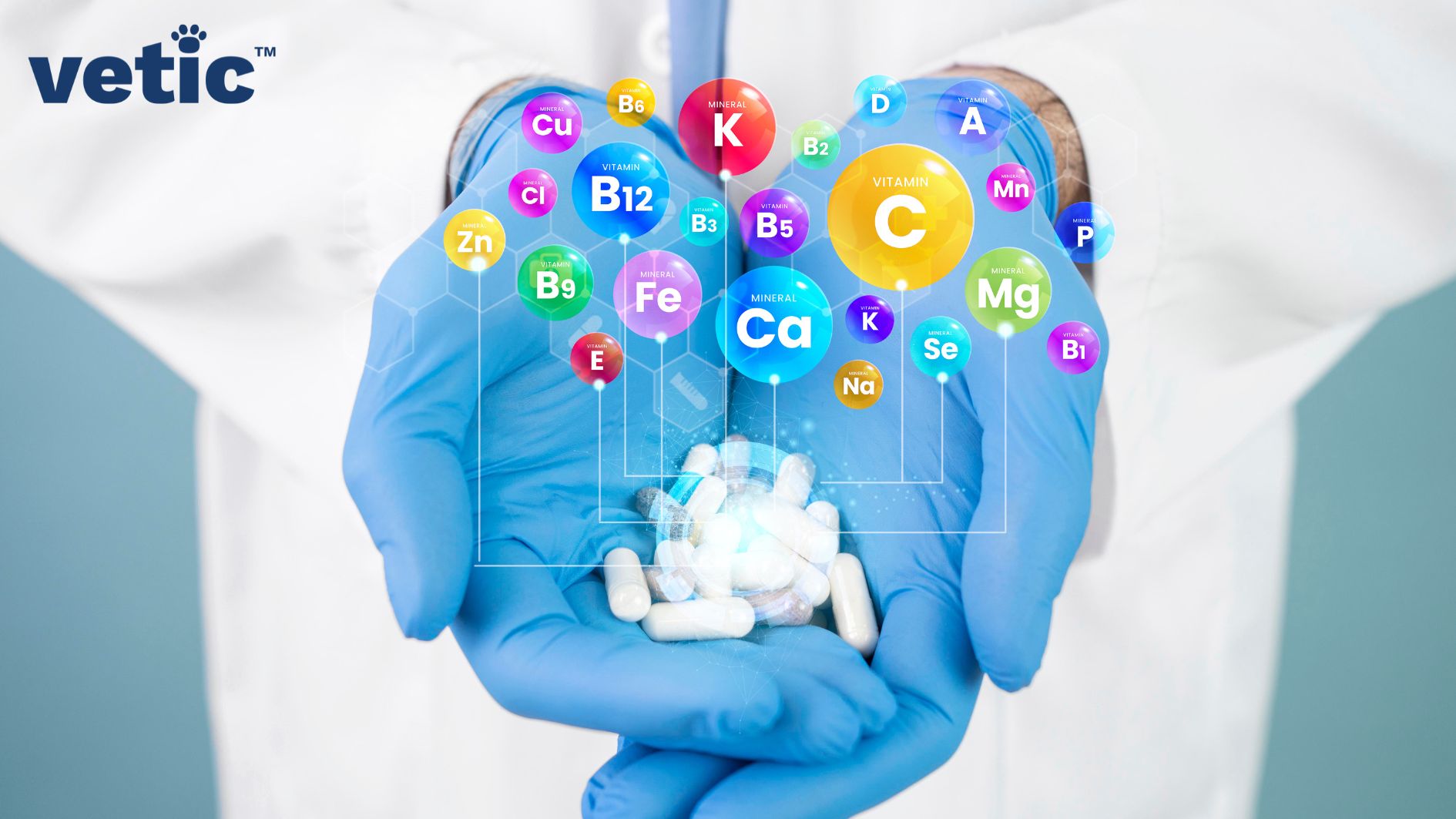 AI edited image of a person wearing a white lab coat. holding out both hands in blue gloves with medicines in them. Names of trace minerals and vitamins are superimposed on the image and tagged to the pills at random. your dog needs supplements, but each supplement can be a combination of a number of such minerals and vitamins.