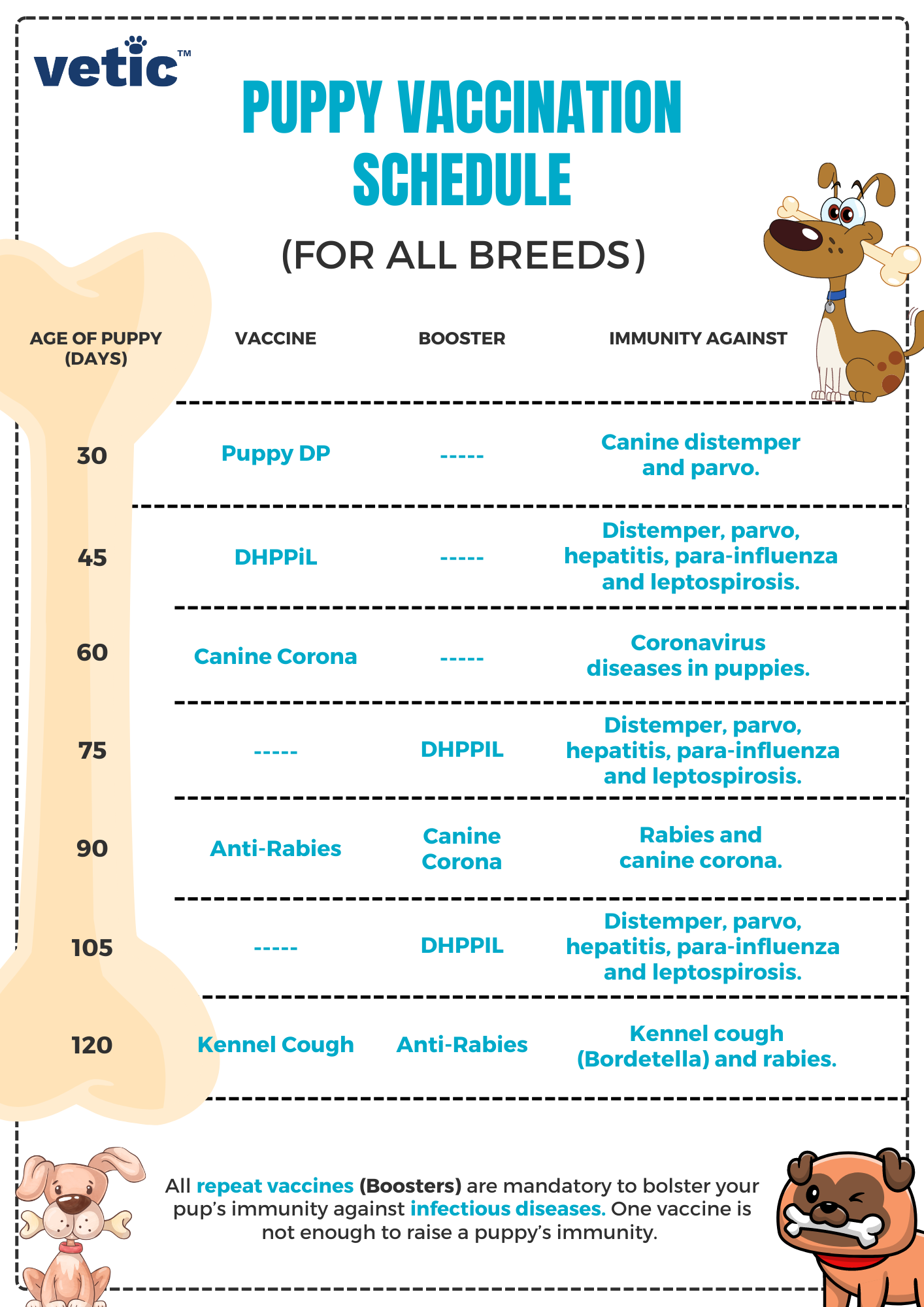 a list of mandatory puppy vaccines for puppies in India complete with timeline. vaccines necessary for pups in India -are Puppy DP, DHPPiL, Anti-rabies, Canine Corona and Kennel Cough. Get in touch with our veterinarian at Vetic Clinic Thane or Andheri for updating your dog's vaccinations. 