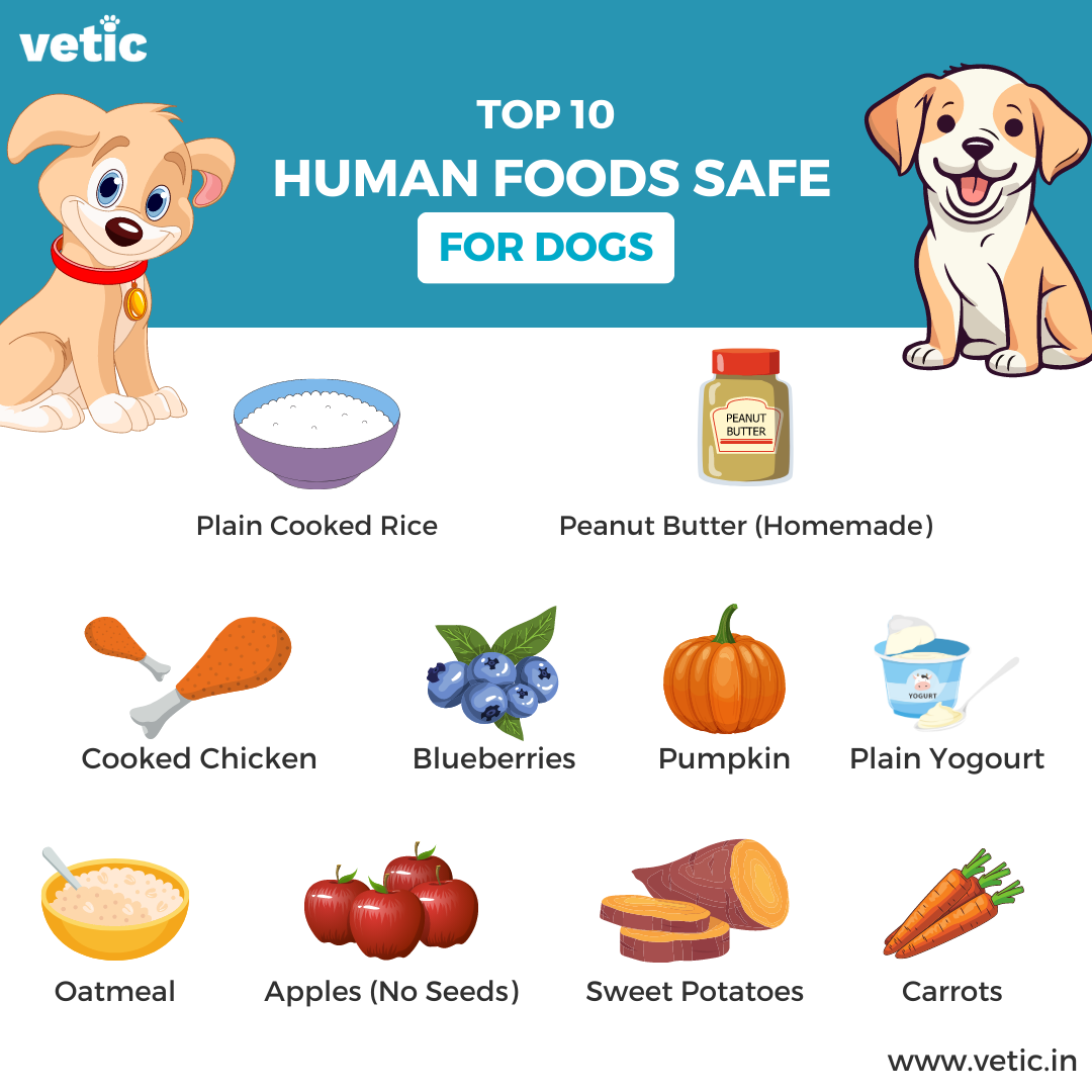 the top 10 common human foods safe for dogs. you can give these human foods as treats to your dogs. the list includes homemade peanut butter, plain cooked rice, cooked chicken (without bones), blueberries, pumpkin, plain yoghurt, apples without seeds, oatmeal, sweet potatoes and carrots