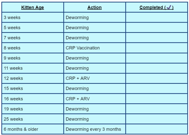 Deworming your cat should not be a random event. Here's the entire schedule for deworming a kitten beginning from 3 weeks of age up to 6 months or older. You need to deworm your kitten every 2 weeks between 3 and 11 weeks. Then, you should deworm them every 4 weeks. Once your kitten is older than 6 months, they need deworming every 3 months. 