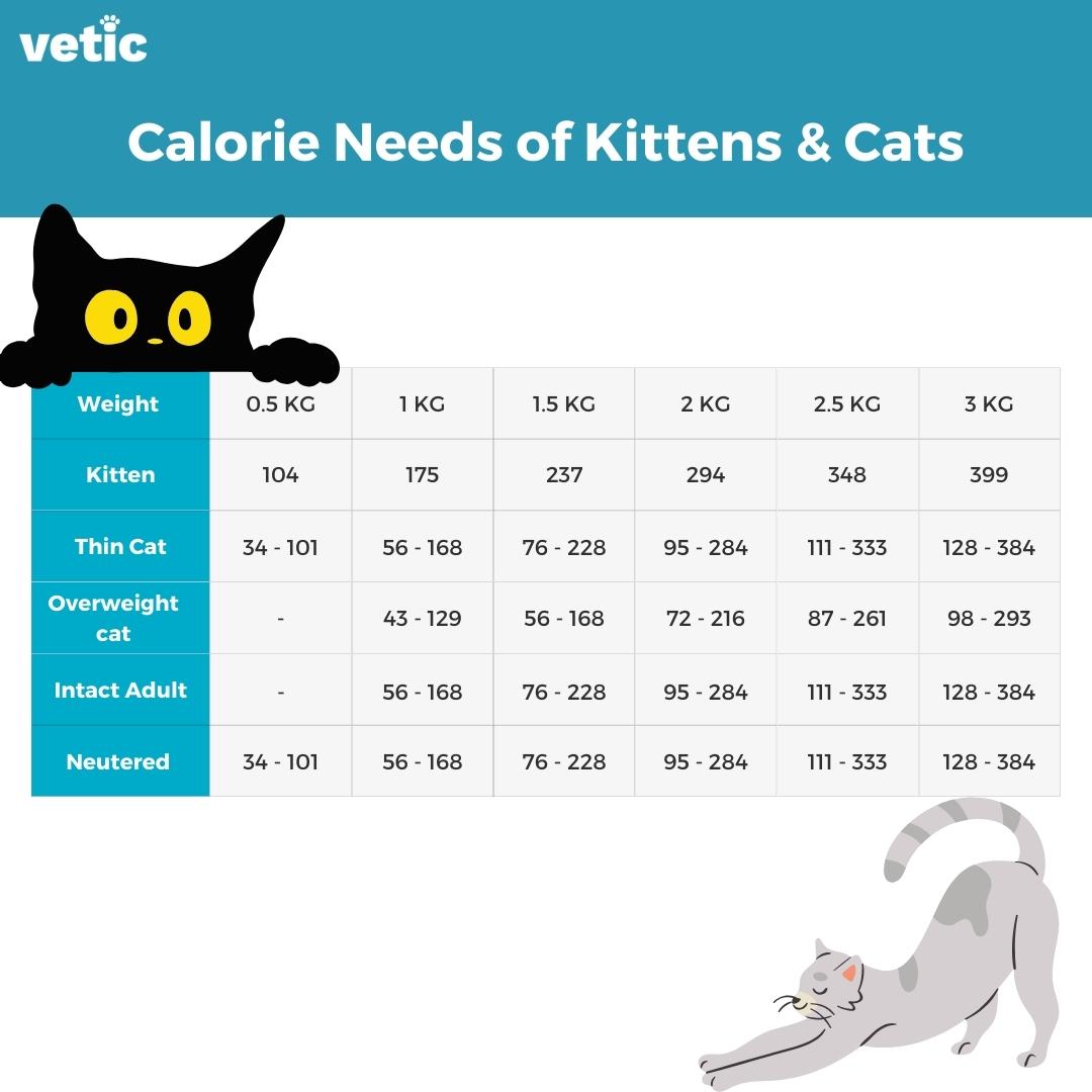 Infographic titled caloric needs of kittens & cats Part 1: How much cat food you give your cat. It states the caloric need of kittens, underweight, overweight, intact adult and neutered cats between the weights of 500 gm to 6 kg
