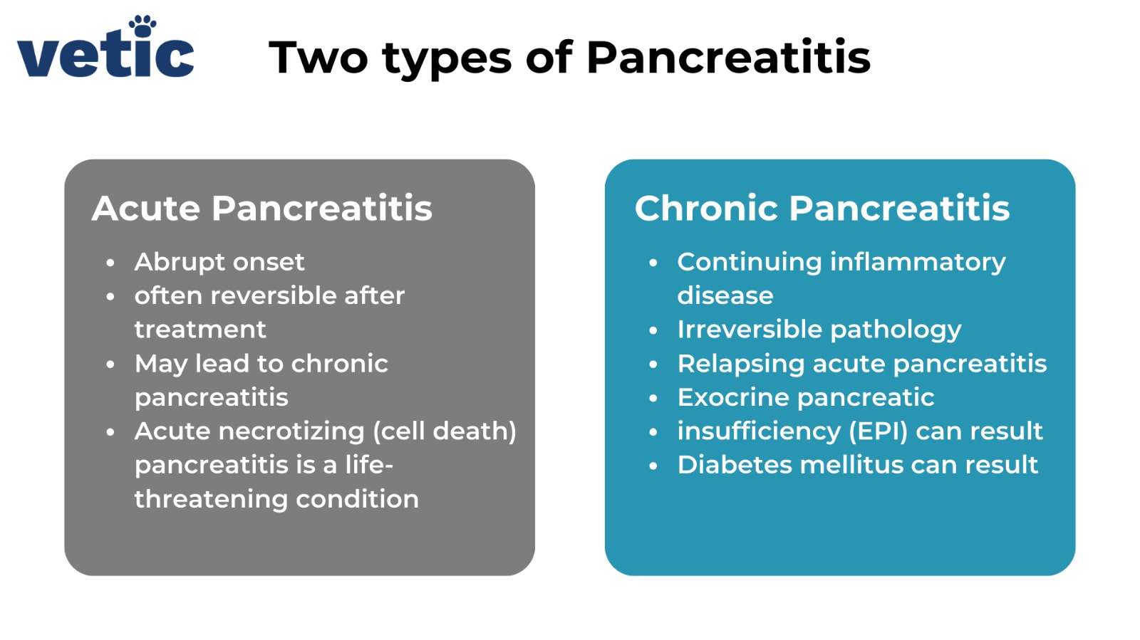 Treatment for chronic shop pancreatitis in dogs