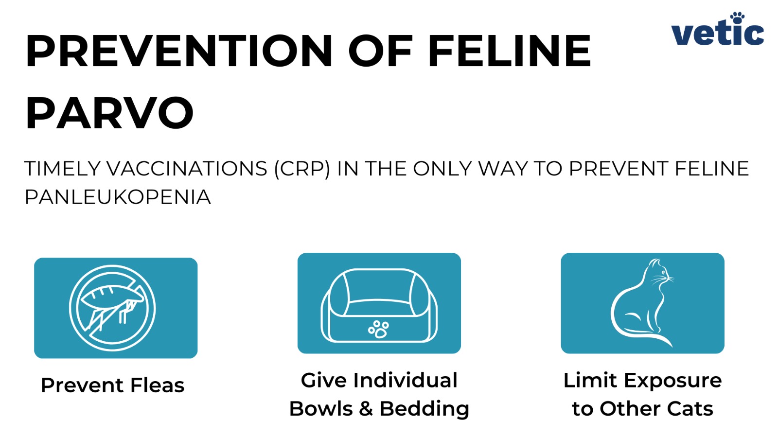 Infographic 4 Prevention of Feline Parvo Timely Vaccinations (CRP) in the ONLY Way to Prevent Feline Panleukopenia Additional Measures - Prevent Fleas Give Individual Bowls & Bedding Limit Exposure to Other Cats