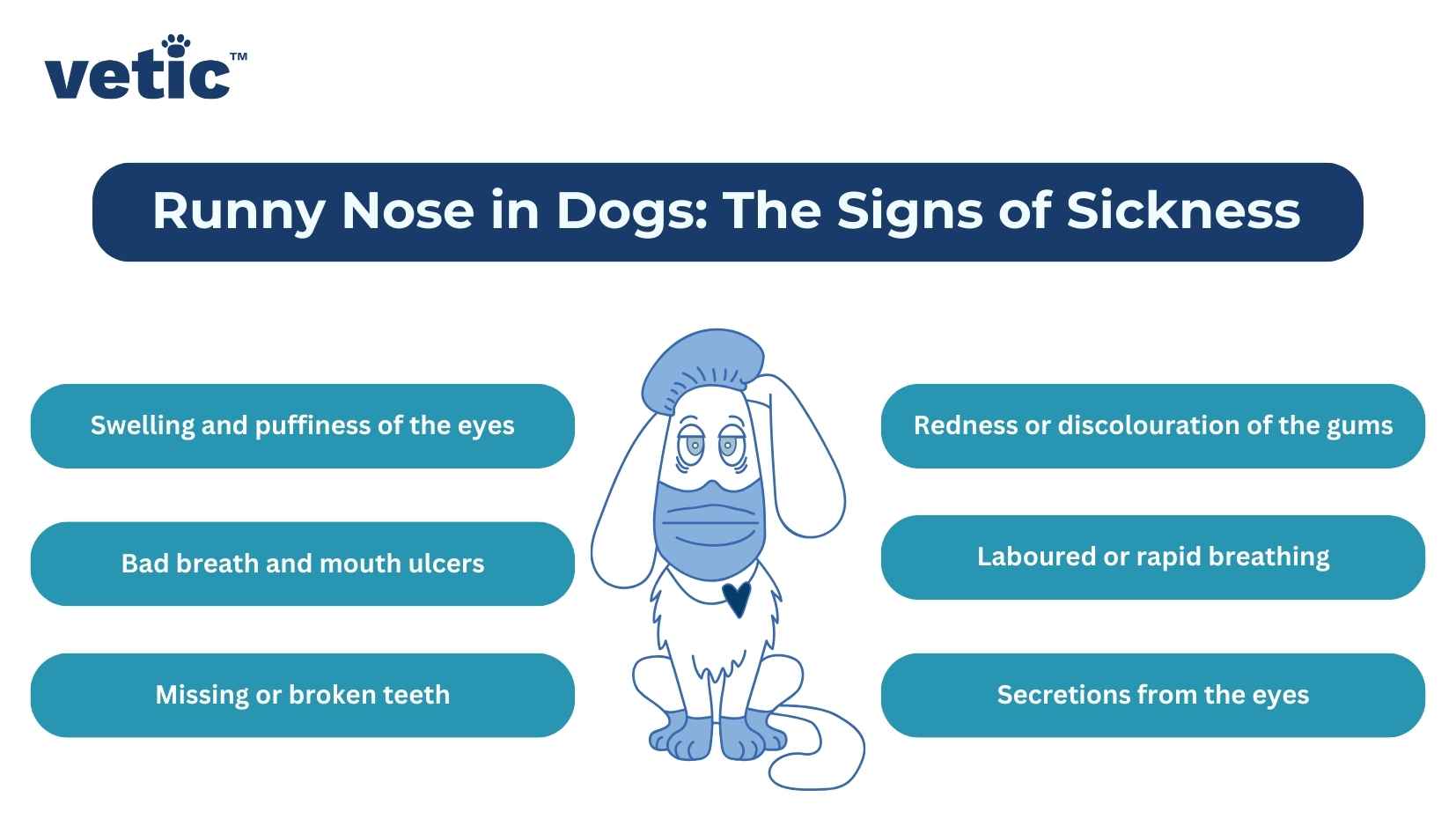 Runny Nose in Dogs: The signs of Sickness Swelling and puffiness of the eyes Bad breath Missing or broken teeth Redness or discolouration of the gums Laboured or rapid breathing Secretions from the eyes