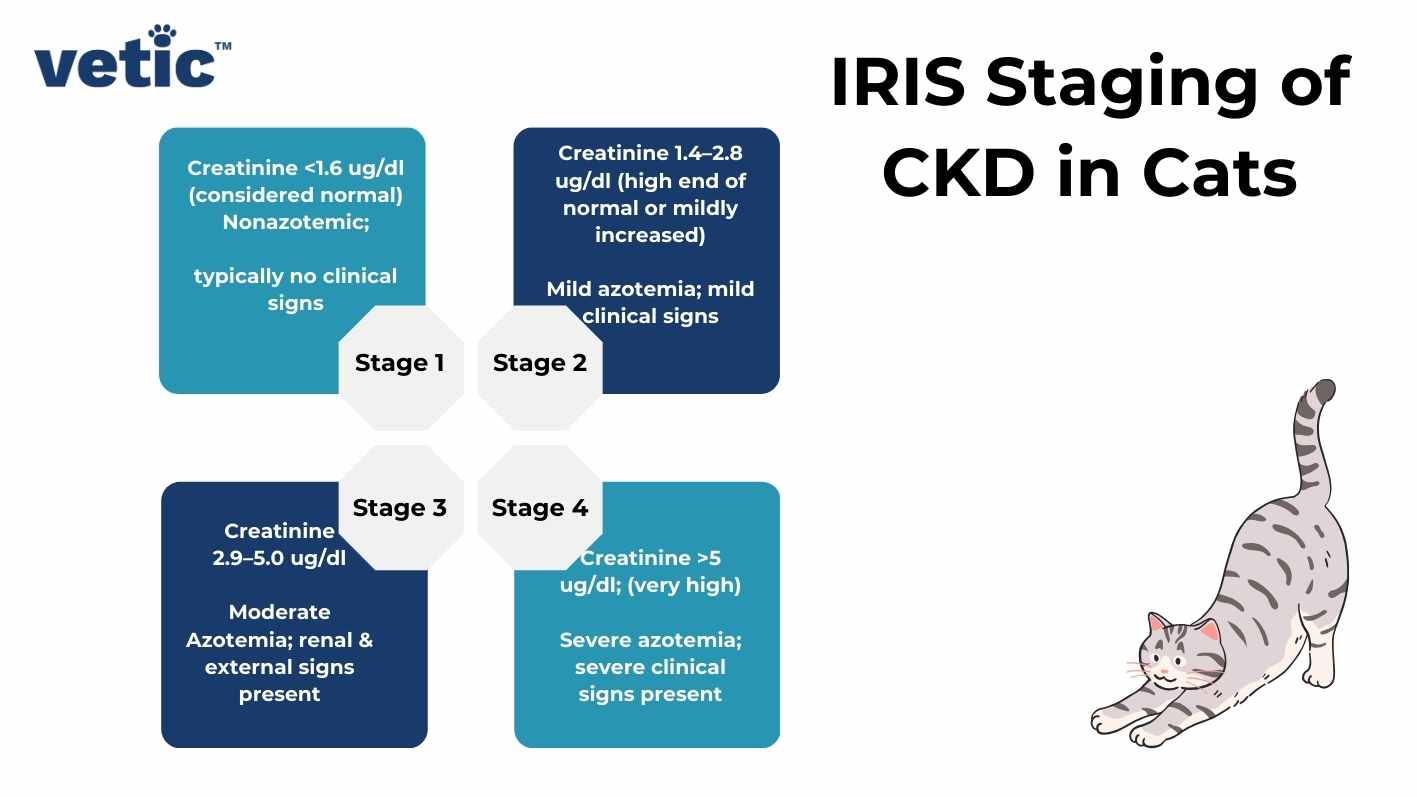 Chronic Kidney disease in cats can be classified into 4 stages as per IRIS. IRIS Staging of CKD in Cats Stage 1 Creatinine 5 ug/dl; Severe azotemia; severe clinical signs present.