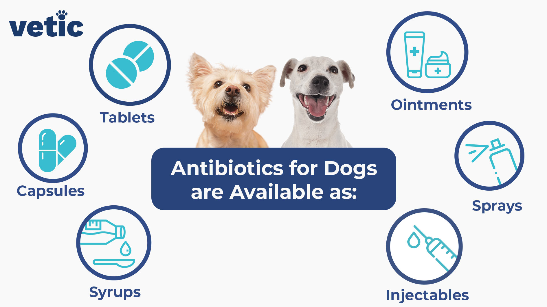 infographic on the different forms in which antibiotics for dogs are available. Listed variants include - Tablets Capsules Syrups Ointments Sprays Injectables