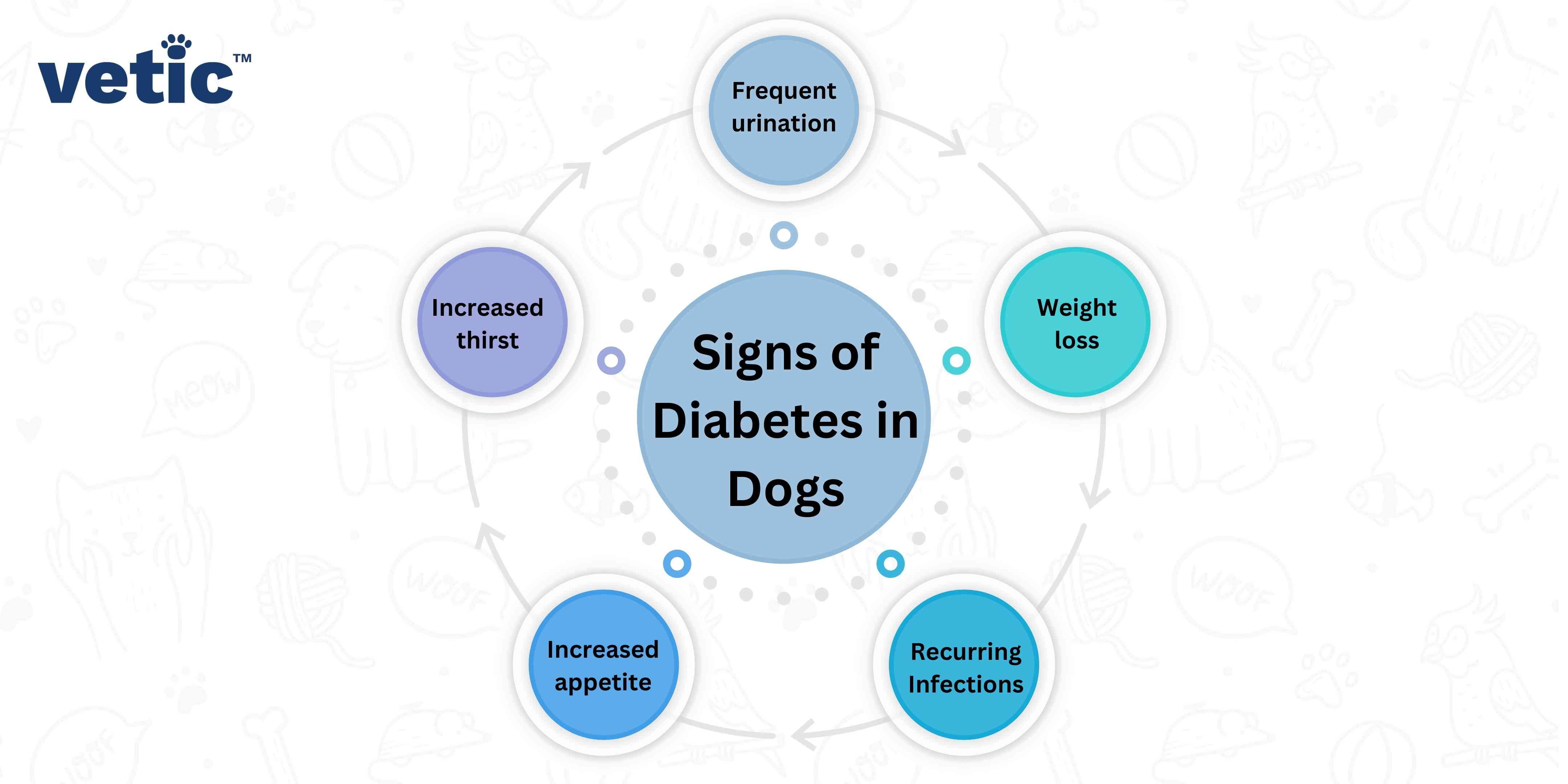 The image is an informative diagram that outlines the signs of diabetes in dogs. It features a central circle containing the main title, surrounded by six smaller circles, each listing a different symptom of diabetes in dogs. It can cause various symptoms such as frequent urination, weight loss, recurring infections, increased appetite, and increased thirst.