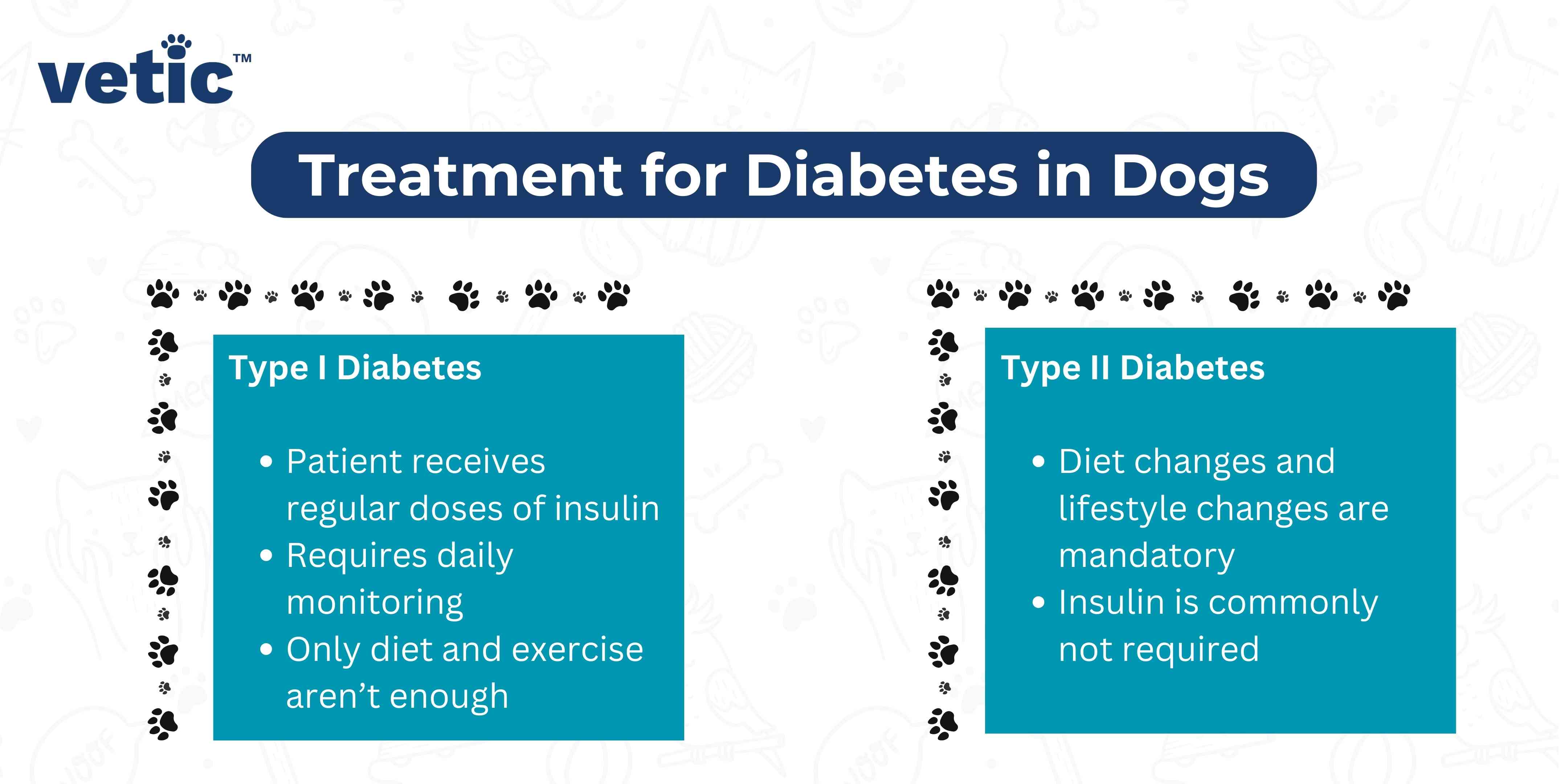 It is an informational graphic by “Vetic™” that outlines the treatment for Type I and Type II diabetes in dogs. It's titled, “Treatment for Diabetes in Dogs”. There are two separate sections, detailing the treatments for Type I and Type II diabetes respectively. For Type I Diabetes, the patient receives regular doses of insulin, requires daily monitoring, and only diet and exercise aren’t enough. For Type II Diabetes, diet changes and lifestyle changes are mandatory, and insulin is commonly not required.