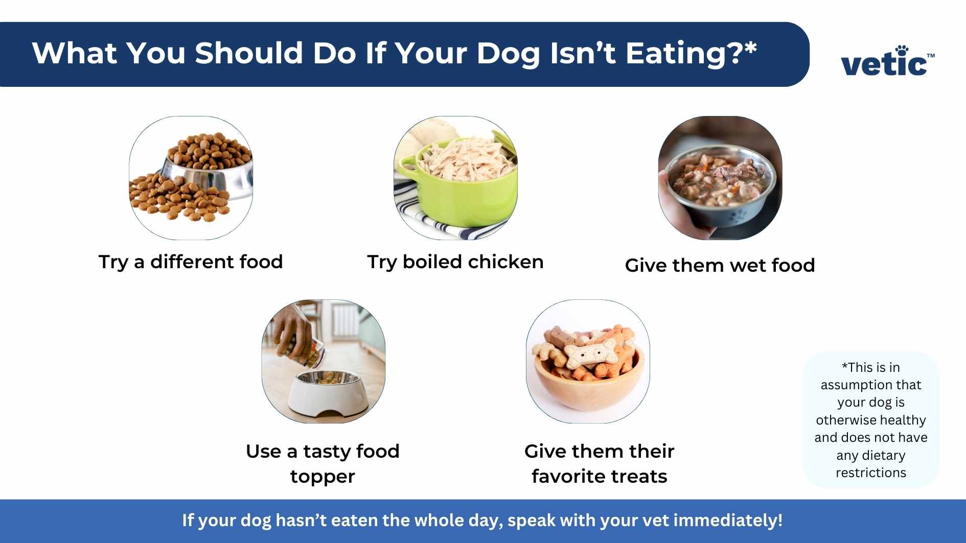 inforgaphic stating What You Should Do If Your Dog Isn’t Eating? Try a different food Try plain boiled chicken Put tasty dog food toppers Give them wet food Give them their favourite treats If your dog hasn’t eaten the whole day, speak with your vet immediately! *This is in assumption that your dog is otherwise healthy and does not have any dietary restrictions The infographic has the Vetic logo on the top right corner.