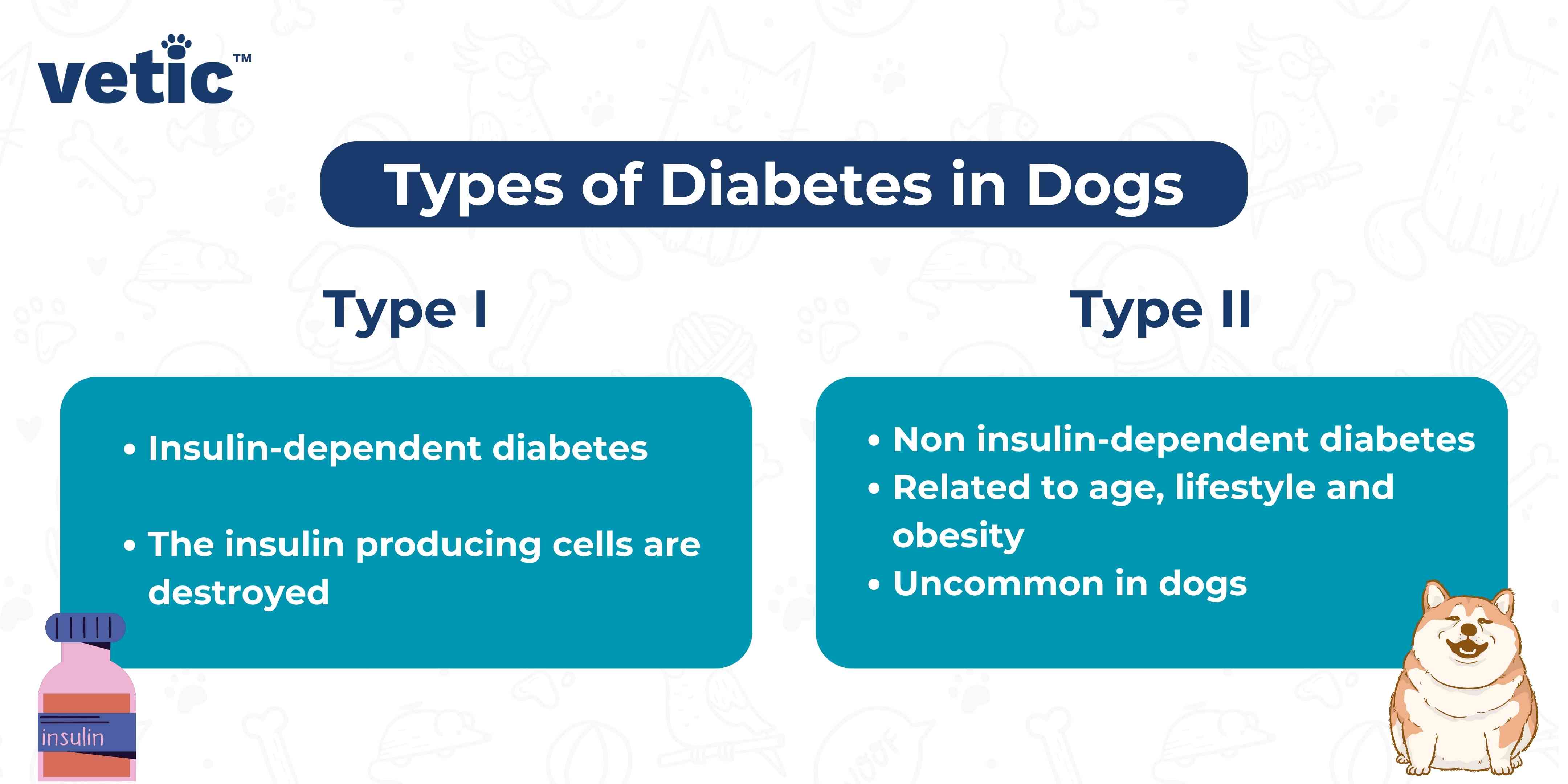 This image is an infographic that outlines the two types of diabetes found in dogs, Type I and Type II. The title “Types of Diabetes in Dogs” is prominently displayed at the top center. Two colored text boxes provide information on Type I and Type II diabetes in dogs respectively. Type I is insulin-dependent diabetes, where the insulin-producing cells are destroyed. Type II is non-insulin-dependent diabetes, related to age, lifestyle, and obesity. It is uncommon in dogs.