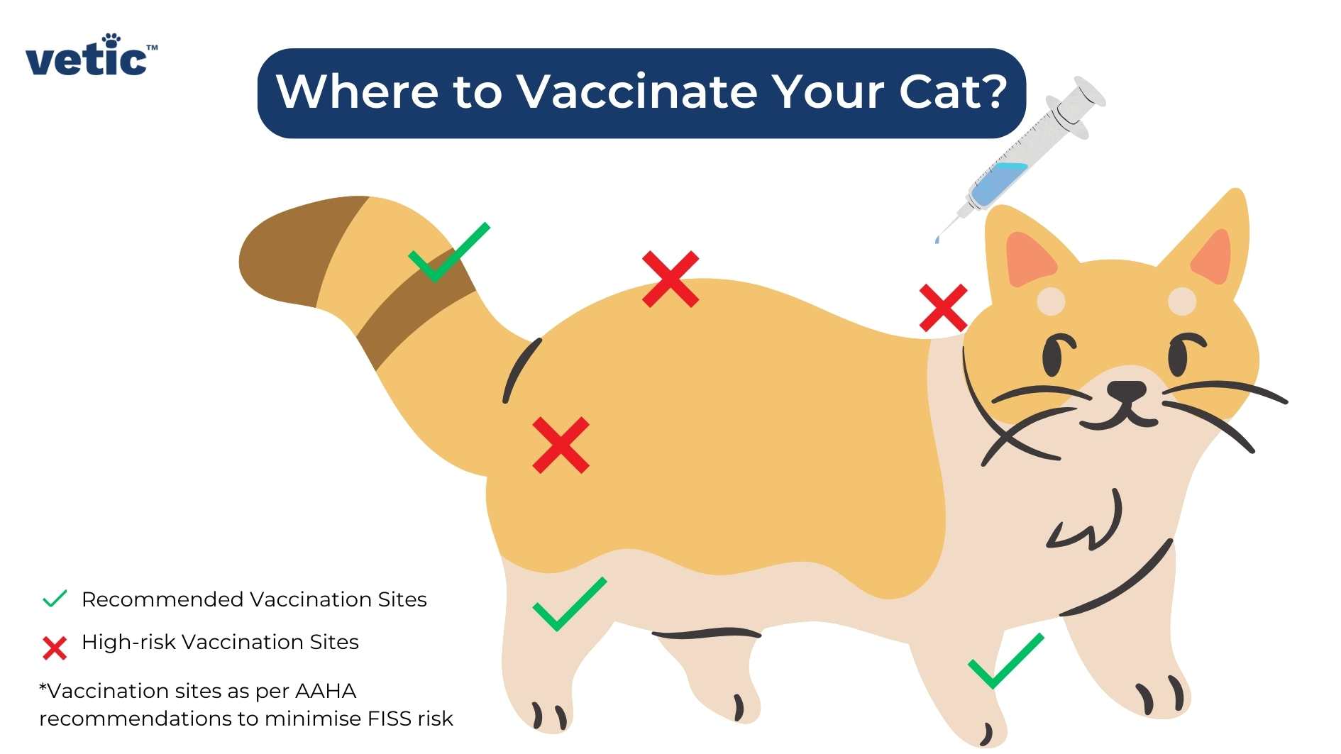 infographic on Where to vaccinate your cat to reduce the risk of feline injection-site sarcoma. The illustration shows a cat with tick marks on their legs, paws and tail - indicating that these are appropriate sites for injection. and cross marks on the nape of the neck, back and rump since these are high risk sites.
