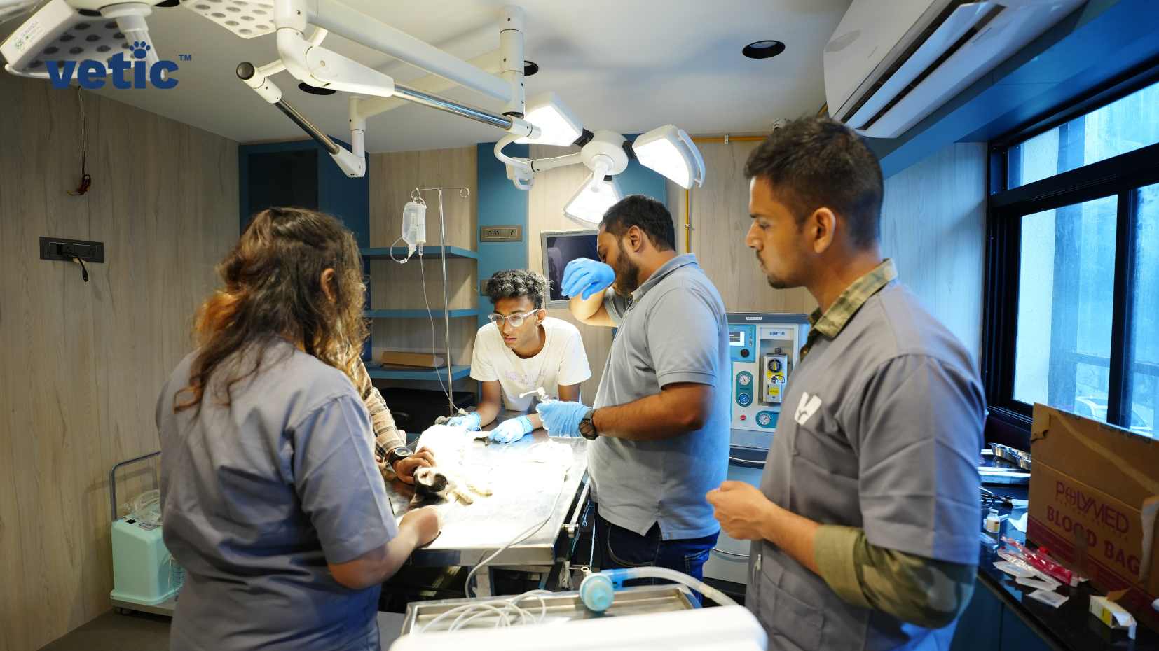 The image depicts a medical scene where individuals are attending to a patient (puppy). The setting is a well-lit medical room with modern equipment. Four individuals in medical attire are present, their faces are obscured. They appear to be attending to a patient who is lying on an examination table. Medical equipment, including overhead lights and monitors, is visible. A window is visible in the background, letting in natural light. A box labeled “BIOHAZARD BLOOD BAG” is seen on the right side of the image. To find the best dog groomer near you.