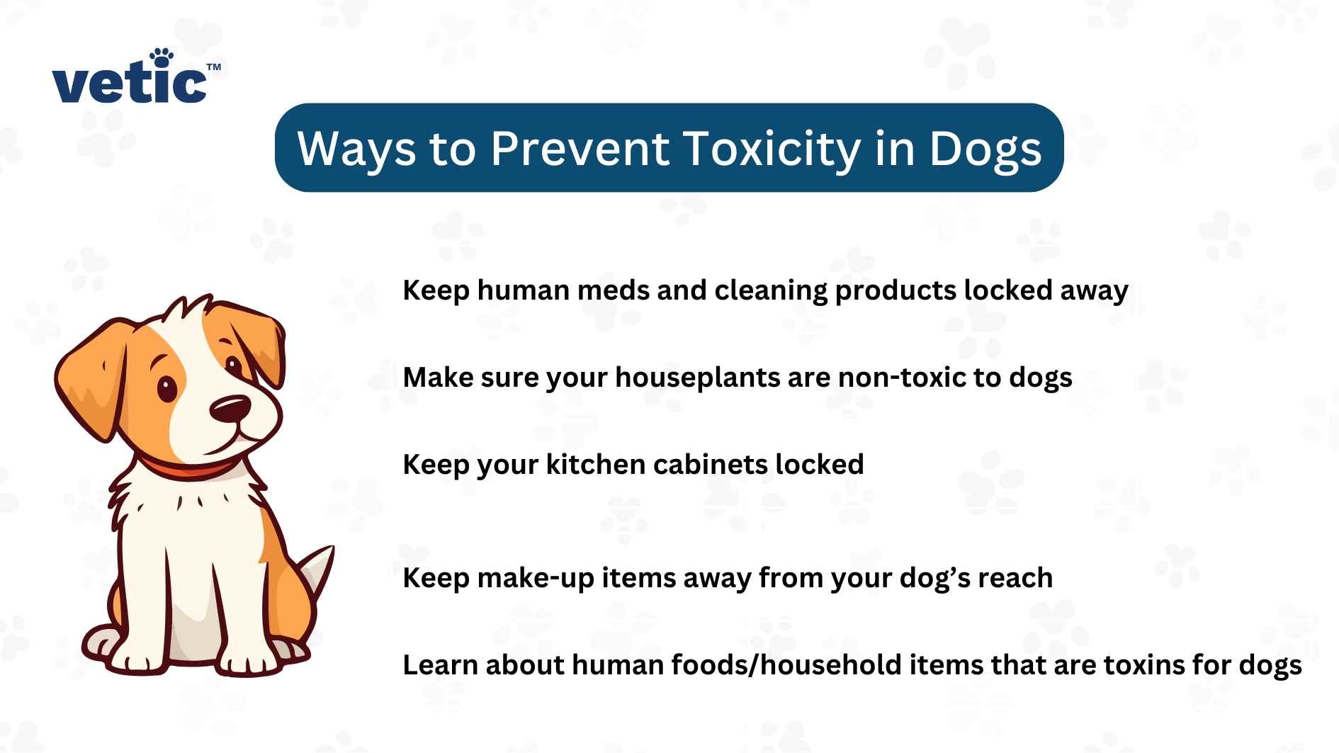 Ways to Prevent Toxicity in Dogs: Keep human meds and cleaning products locked away Make sure your houseplants are non-toxic to dogs Keep your kitchen cabinets locked Keep make-up items away from your dog’s reach Learn about human foods/household items that are toxins for dogs