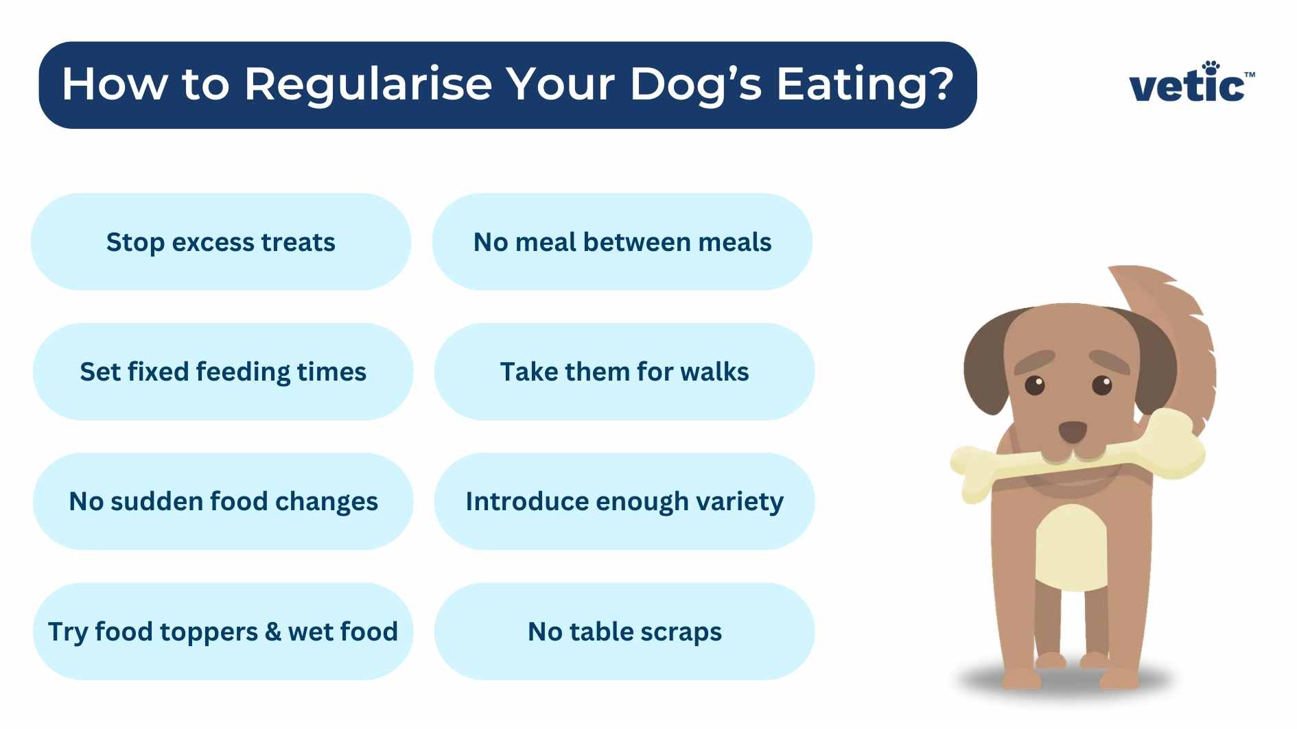 infographic with the logo "vetic" on the top right. it says How to Regularise Your Dog’s Eating? Stop excess treats No meal between meals Set up feeding times Take them for walks No sudden food changes Introduce enough variety Try food toppers & wet food No table scraps
