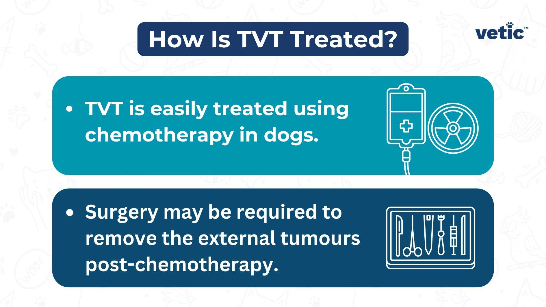 Infographic by vetic on how TVT is treated in dogs. The conventional treatment procedures of TVT include TVT is easily treated using chemotherapy in dogs. Surgery may be required to remove the external tumours post-chemotherapy.