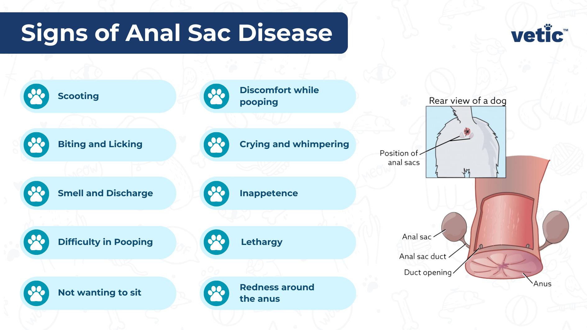 Signs of anal sac or anal gland disease in dogs - Scooting Biting and Licking Smell and Discharge Difficulty in Pooping Not wanting to sit Discomfort while pooping Crying and whimpering Inappetence Lethargy Redness around the anus