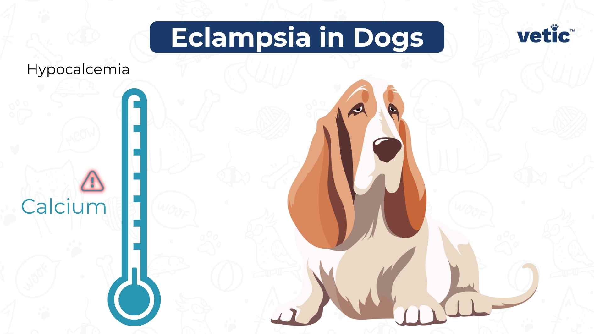 Eclampsia in Dogs is Hypocalcemia