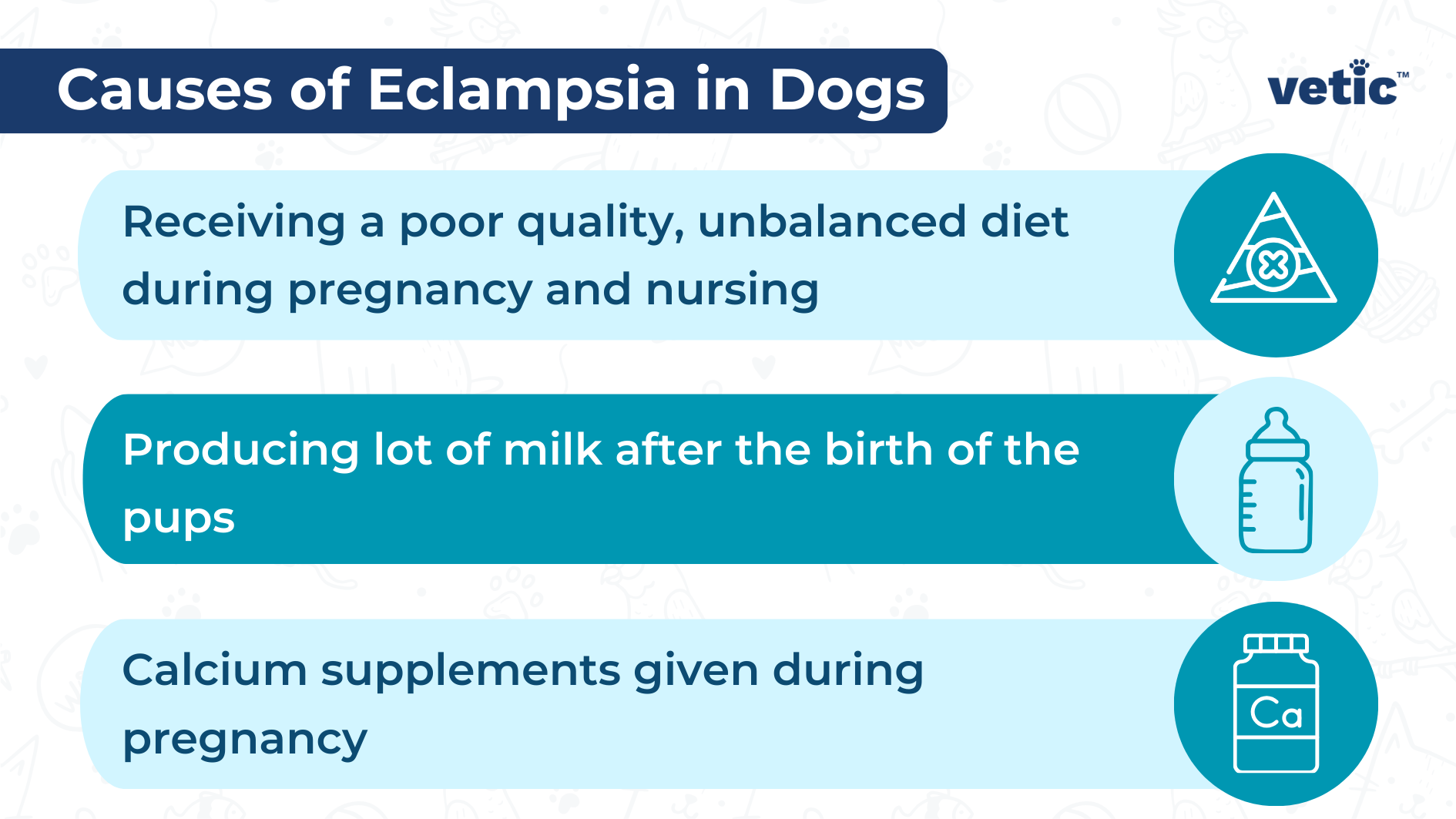 Infographic by Vetic on the Causes of Eclampsia in Dogs 1. Poor nutrition and unbalanced diet 2. High volume of milk production by the mother dog 3. Calcium supplements during pregnancy