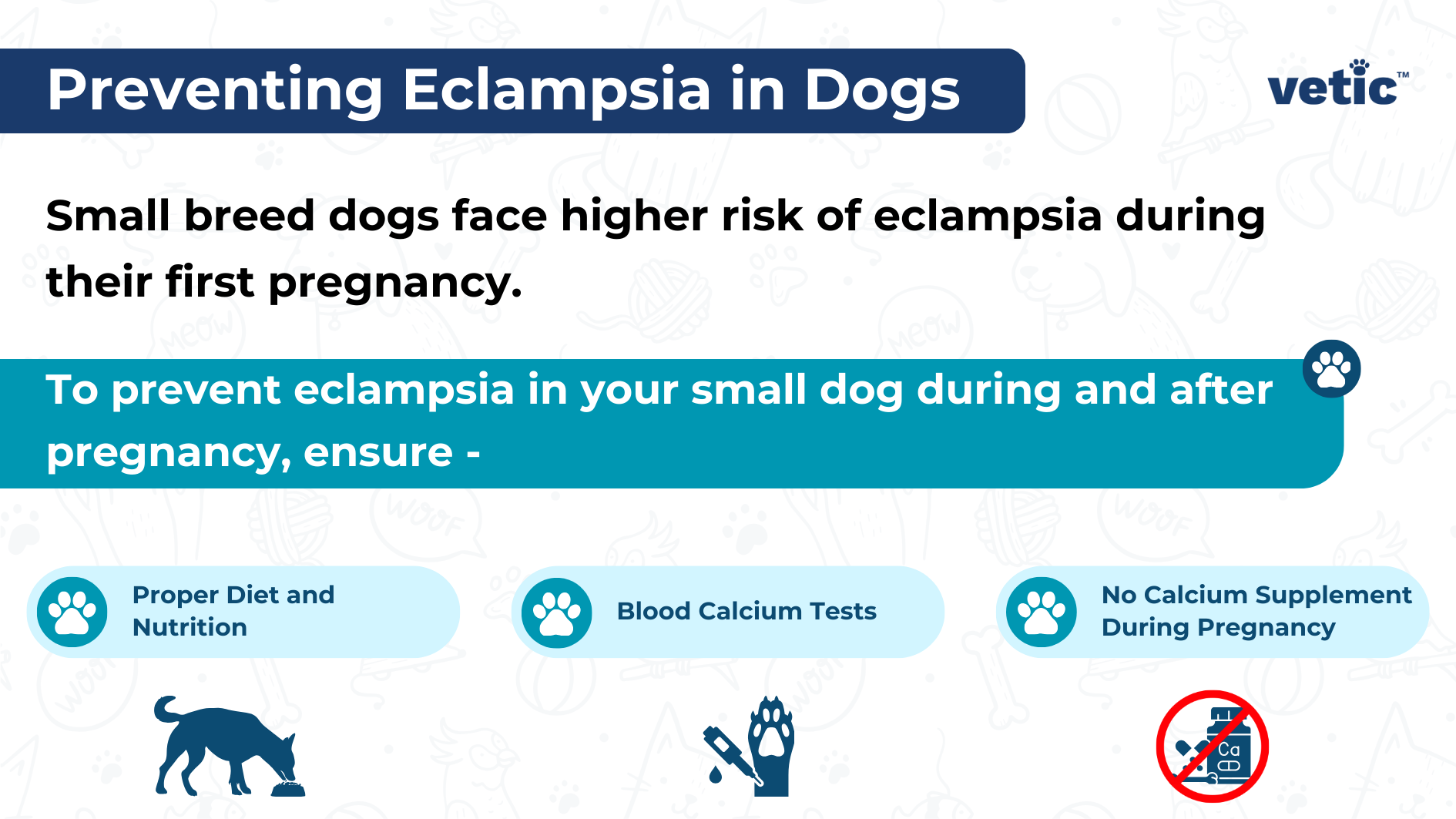 infographic on Preventing Eclampsia in Dogs Small breed dogs face higher risk of eclampsia during their first pregnancy. To prevent eclampsia in your small dog during and after pregnancy, ensure - Proper Diet and Nutrition No Calcium Supplement During Pregnancy Blood Calcium Tests