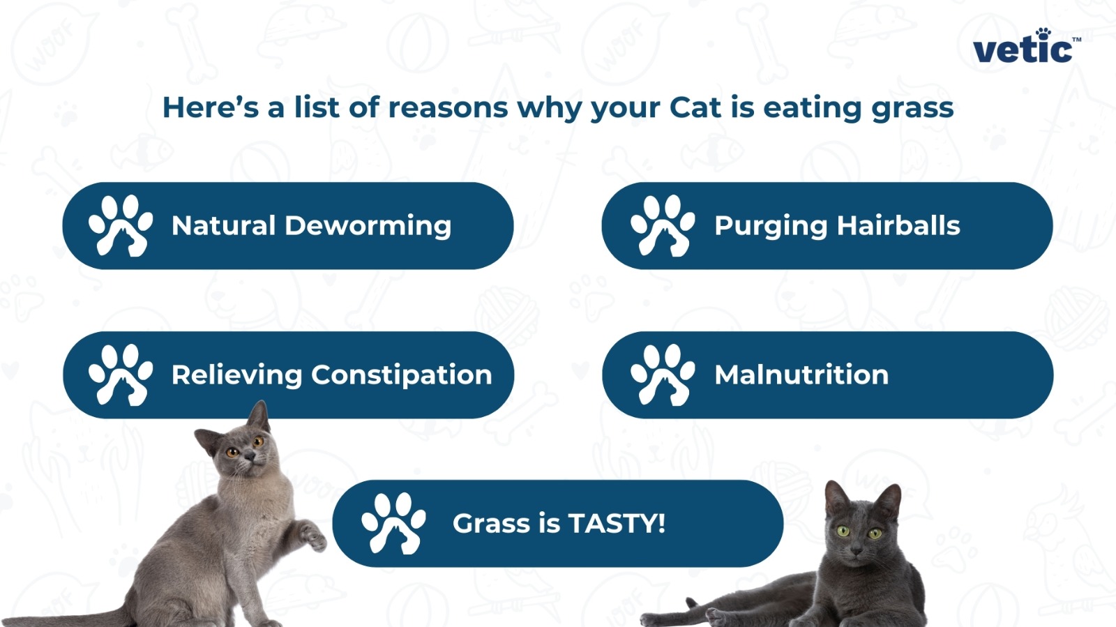 Copyright infographic by Vetic stating "Here's a list of reasons why your cat is eating grass. Natural Deworming Purging Hairballs Relieving Constipation Malnutrition Grass is TASTY! In case your cat is eating grass almost compulsively, don't forget to consult your vet at Vetic Mumbai
