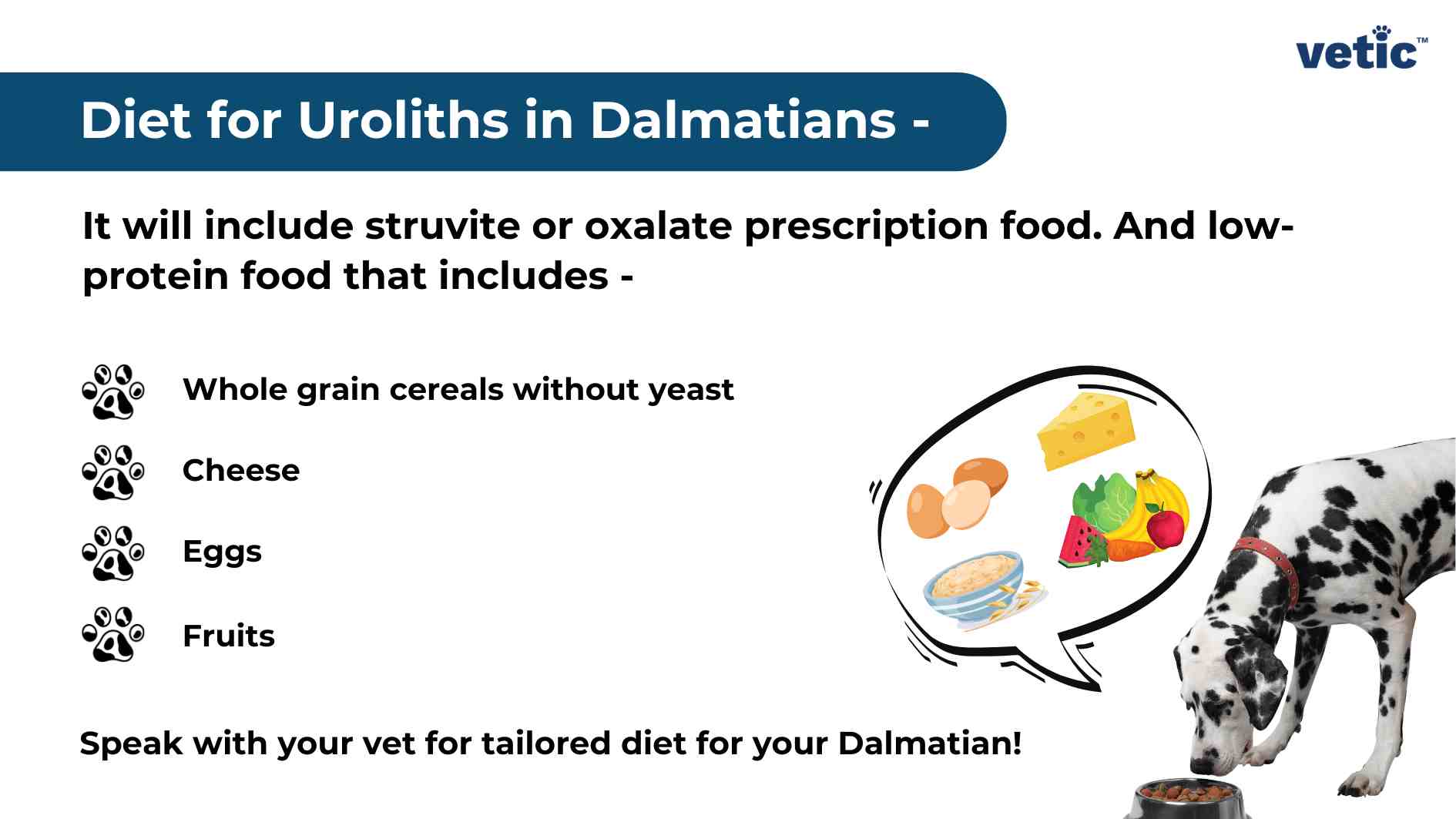 The image is an informational graphic titled “Diet for Uroliths in Dalmatians - vetic”. The background is white with a blue header containing the title. There’s text that explains the inclusion of struvite or oxalate prescription food and low-protein food in the diet. A list follows, each item marked with a paw print icon: Whole grain cereals without yeast Cheese Eggs Fruits On the right side, there’s an image of a Dalmatian dog looking at a speech bubble. Inside the speech bubble are illustrations of cheese, eggs, whole grain cereals, and fruits. At the bottom, there’s advice to speak with your vet for a tailored diet for your Dalmatian.