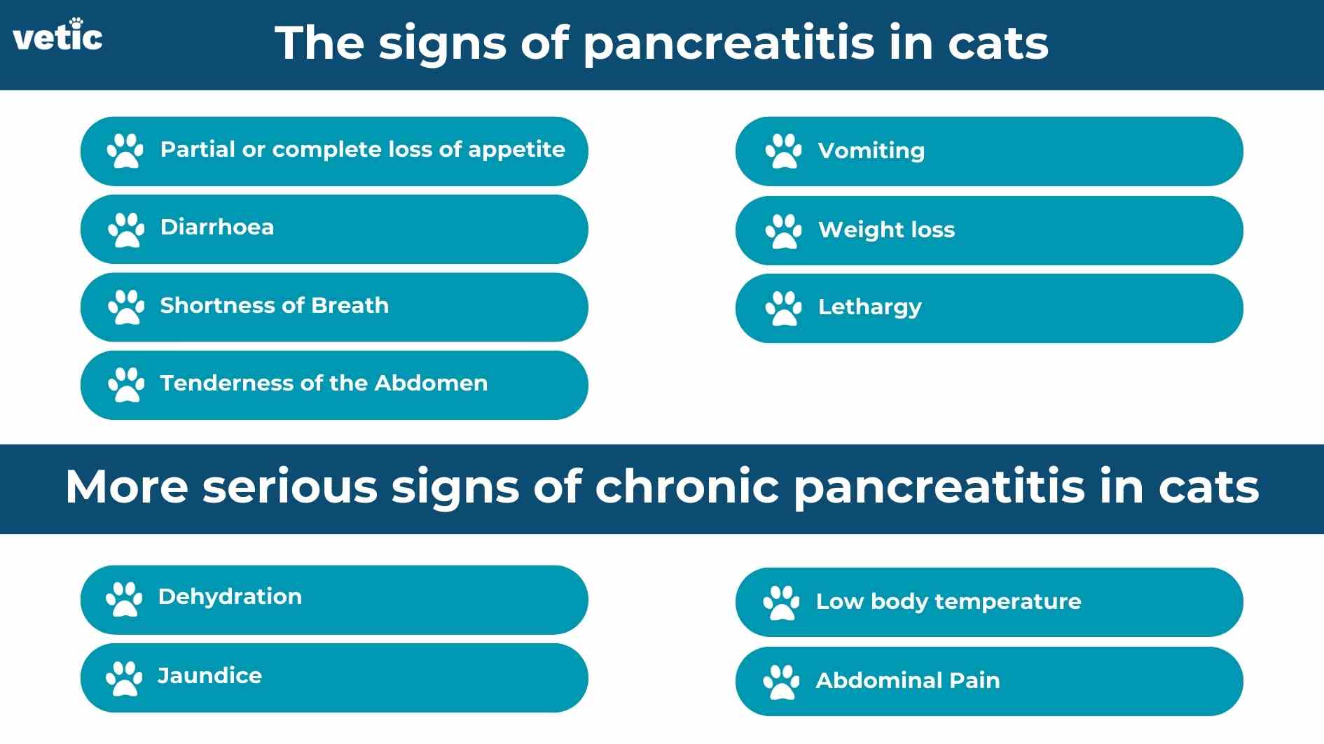 infographic on the signs of pancreatitis in cats with the vetic logo. The signs of pancreatitis in cats Partial or complete loss of appetite Vomiting Diarrhoea Weight loss Shortness of Breath Lethargy Tenderness of the Abdomen More serious signs of chronic pancreatitis in cats Dehydration Low body temperature Jaundice Abdominal Pain