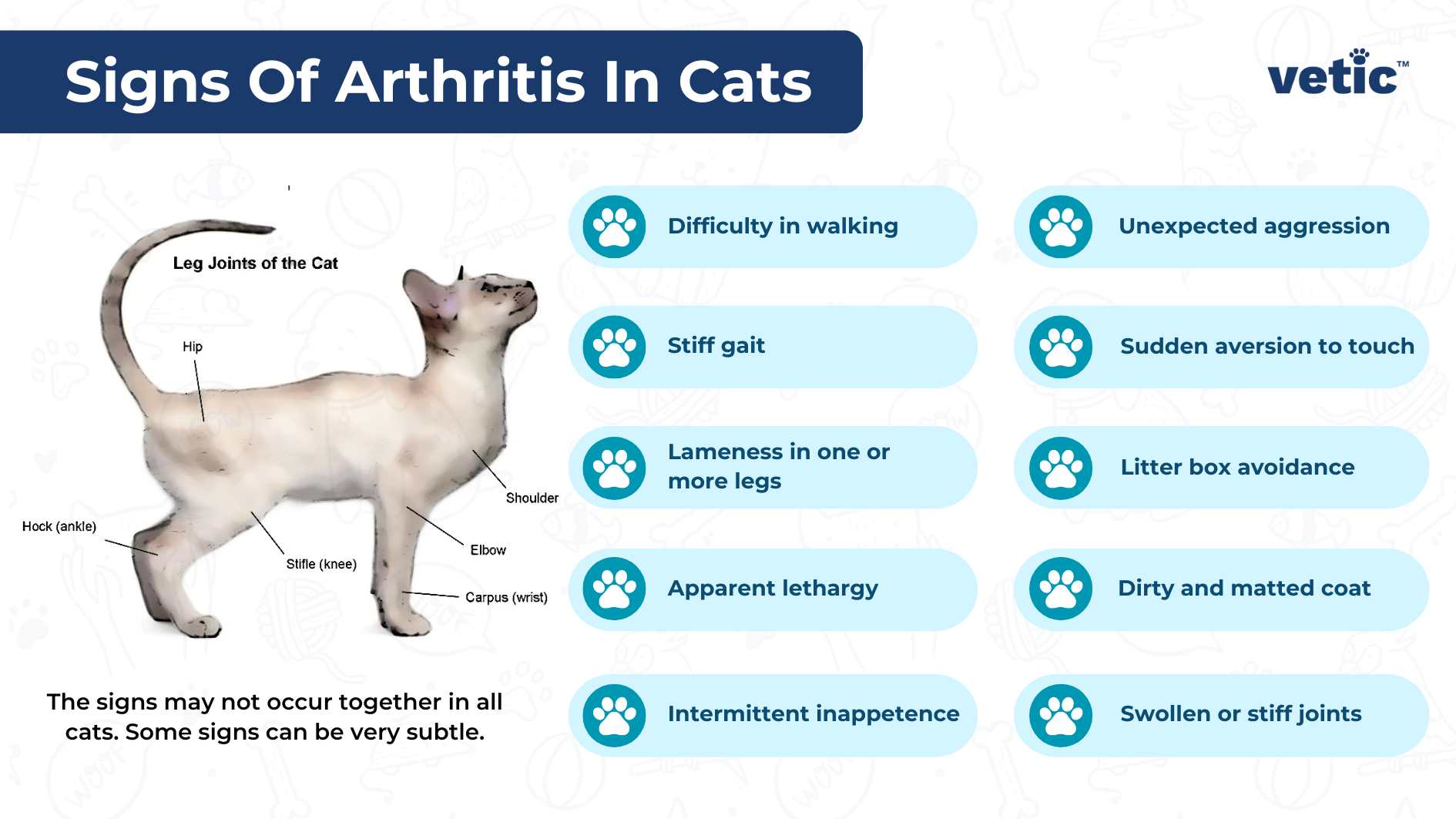 An informative image detailing the signs of arthritis in cats, including a diagram of a cat with labeled leg joints and a list of symptoms. The image, titled “Signs Of Arthritis In Cats” and presented by “vetic”, features an illustration of a cat with its leg joints labeled, including the hip, hock (ankle), stifle (knee), elbow, carpus (wrist), and shoulder. On the right side, there are blue bubbles listing symptoms such as difficulty in walking, stiff gait, lameness in one or more legs, apparent lethargy, intermittent inappetence, unexpected aggression, sudden aversion to touch, litter box avoidance, dirty and matted coat, and swollen or stiff joints. A note at the bottom indicates that these signs may not all occur together and can be very subtle.