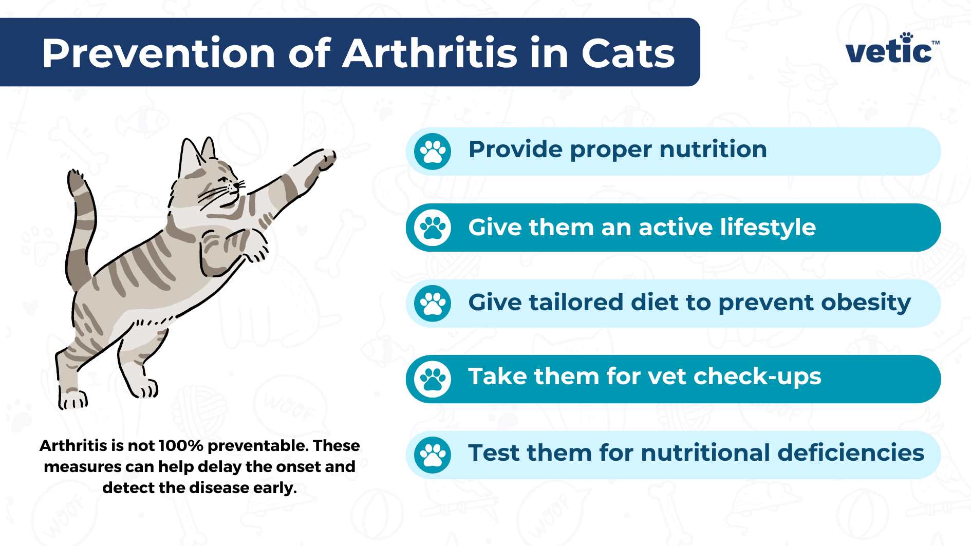 The infographic, titled “Prevention of Arthritis in Cats” by vetic, showcases a drawing of a striped cat on the left side, reaching out as if playing or stretching. The background is white with a blue header that includes the title. On the right side, there are five tips for preventing arthritis in cats, each with its own icon: Provide proper nutrition (paw print icon) Give them an active lifestyle (running cat icon) Give tailored diet to prevent obesity (scale icon) Take them for vet check-ups (stethoscope icon) Test them for nutritional deficiencies (checklist icon) Below these tips, a note clarifies that while arthritis is not 100% preventable, these measures can help delay its onset and detect the disease early.