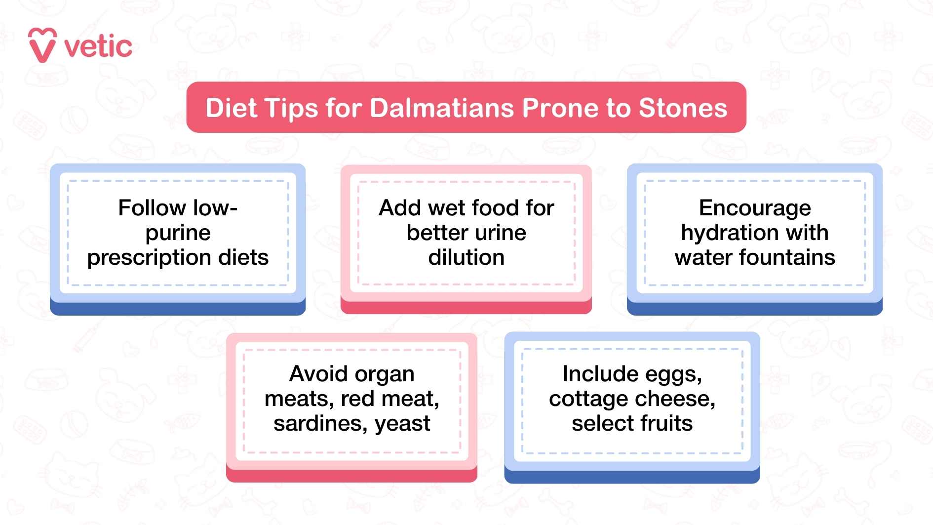 Image showing diet tips for Dalmatians prone to stones. The image has a pink and white color scheme with faint pet-related illustrations in the background. The main text in a red box reads 'Diet Tips for Dalmatians Prone to Stones.' Below are five bullet points: 'Follow low-purine prescription diets,' 'Add wet food for better urine dilution,' 'Encourage hydration with water fountains,' 'Avoid organ meats, red meat, sardines, yeast,' and 'Include eggs, cottage cheese, select fruits.'