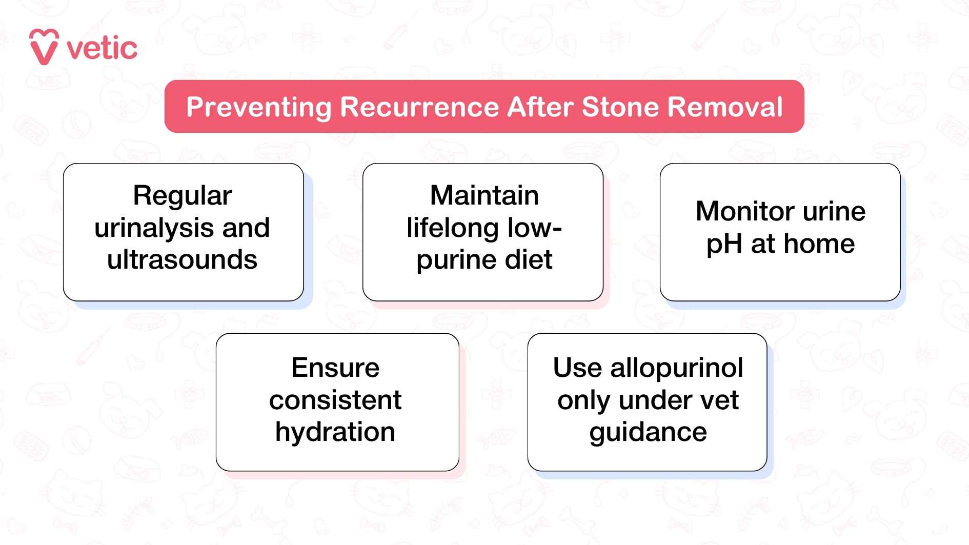 Image showing tips for preventing recurrence after stone removal in Dalmatians. The image has a pink and white color scheme with faint pet-related illustrations in the background. The main text in a red box reads 'Preventing Recurrence After Stone Removal.' Below are five bullet points: 'Regular urinalysis and ultrasounds,' 'Maintain lifelong low-purine diet,' 'Monitor urine pH at home,' 'Ensure consistent hydration,' and 'Use allopurinol only under vet guidance.'