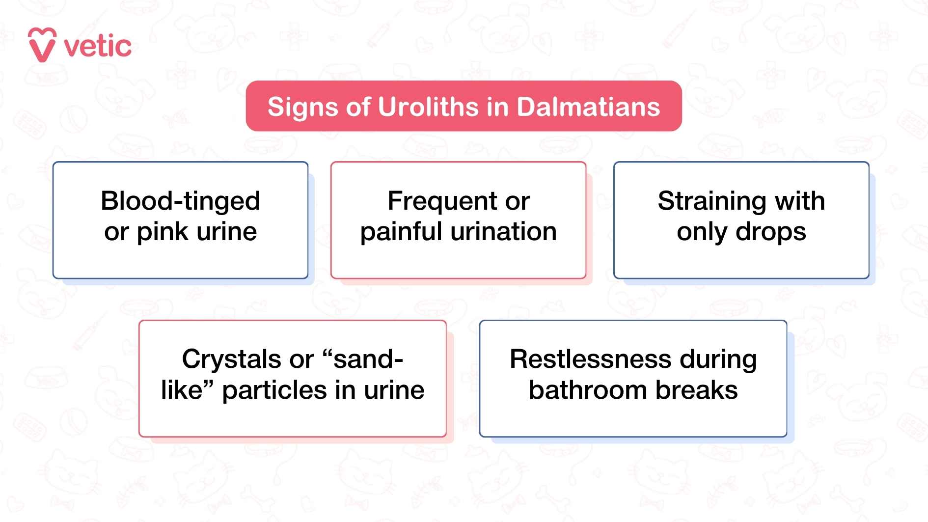 Image showing signs of uroliths in Dalmatians. The image has a pink and white color scheme with faint pet-related illustrations in the background. The main text in a red box reads 'Signs of Uroliths in Dalmatians.' Below are five bullet points: 'Blood-tinged or pink urine,' 'Frequent or painful urination,' 'Straining with only drops,' 'Crystals or “sand-like” particles in urine,' and 'Restlessness during bathroom breaks.