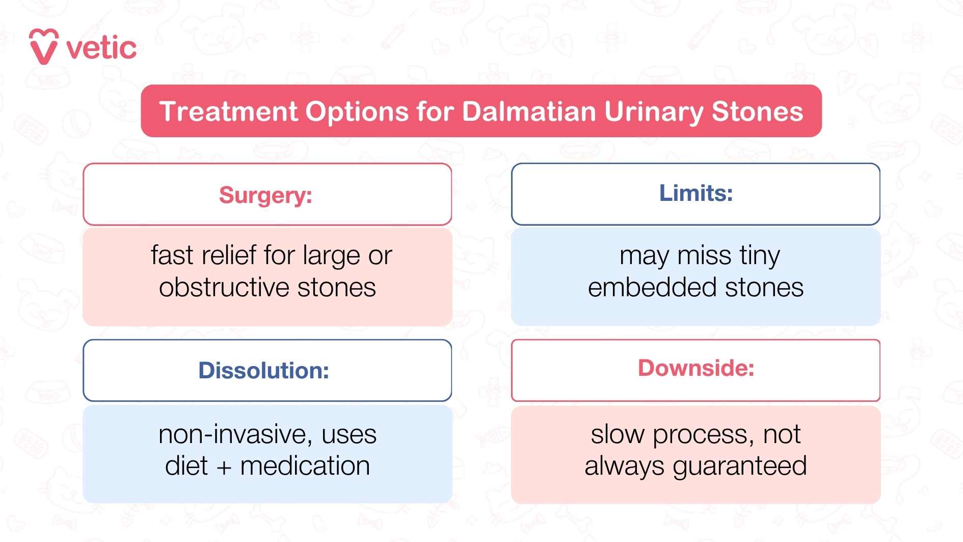 Image showing treatment options for Dalmatian urinary stones. The image has a pink and white color scheme with faint pet-related illustrations in the background. The main text in a red box reads 'Treatment Options for Dalmatian Urinary Stones.' Below are four sections: 'Surgery: fast relief for large or obstructive stones,' 'Limits: may miss tiny embedded stones,' 'Dissolution: non-invasive, uses diet + medication,' and 'Downside: slow process, not always guaranteed.'