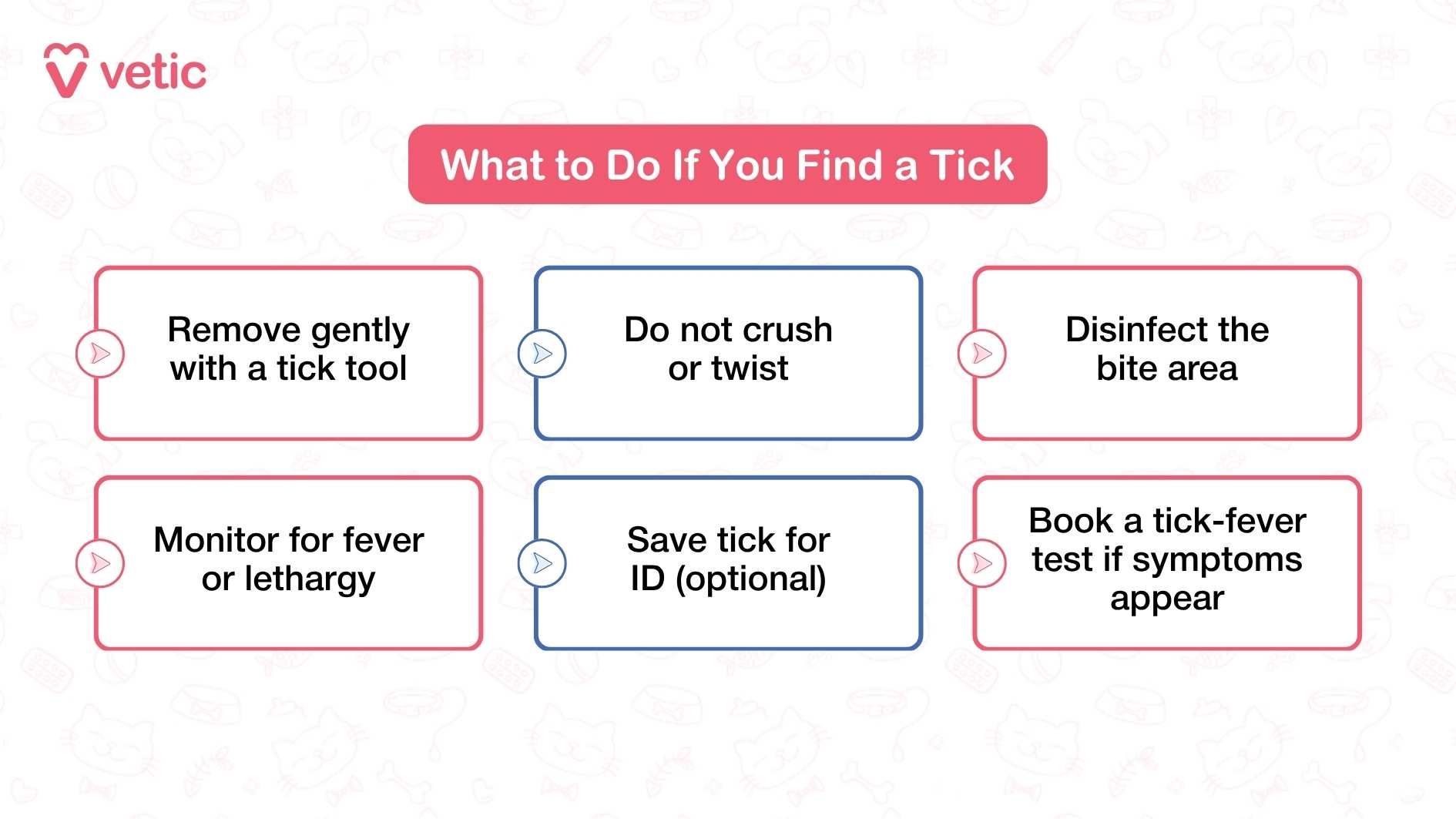 Image showing what to do if you find a tick on your dog. The image has a pink and white color scheme with faint pet-related illustrations in the background. The main text in a red box reads 'What to Do If You Find a Tick.' Below are six bullet points: 'Remove gently with a tick tool,' 'Do not crush or twist,' 'Disinfect the bite area,' 'Monitor for fever or lethargy,' 'Save tick for ID (optional),' and 'Book a tick-fever test if symptoms appear.